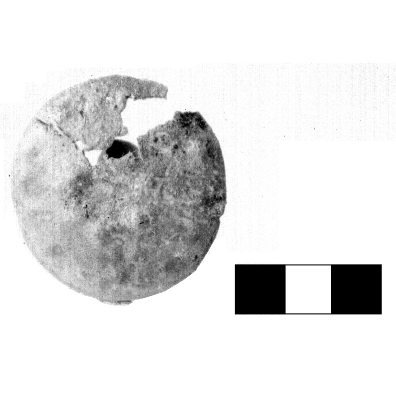 bottone - fase Piceno IV A (sec. VI a.C)