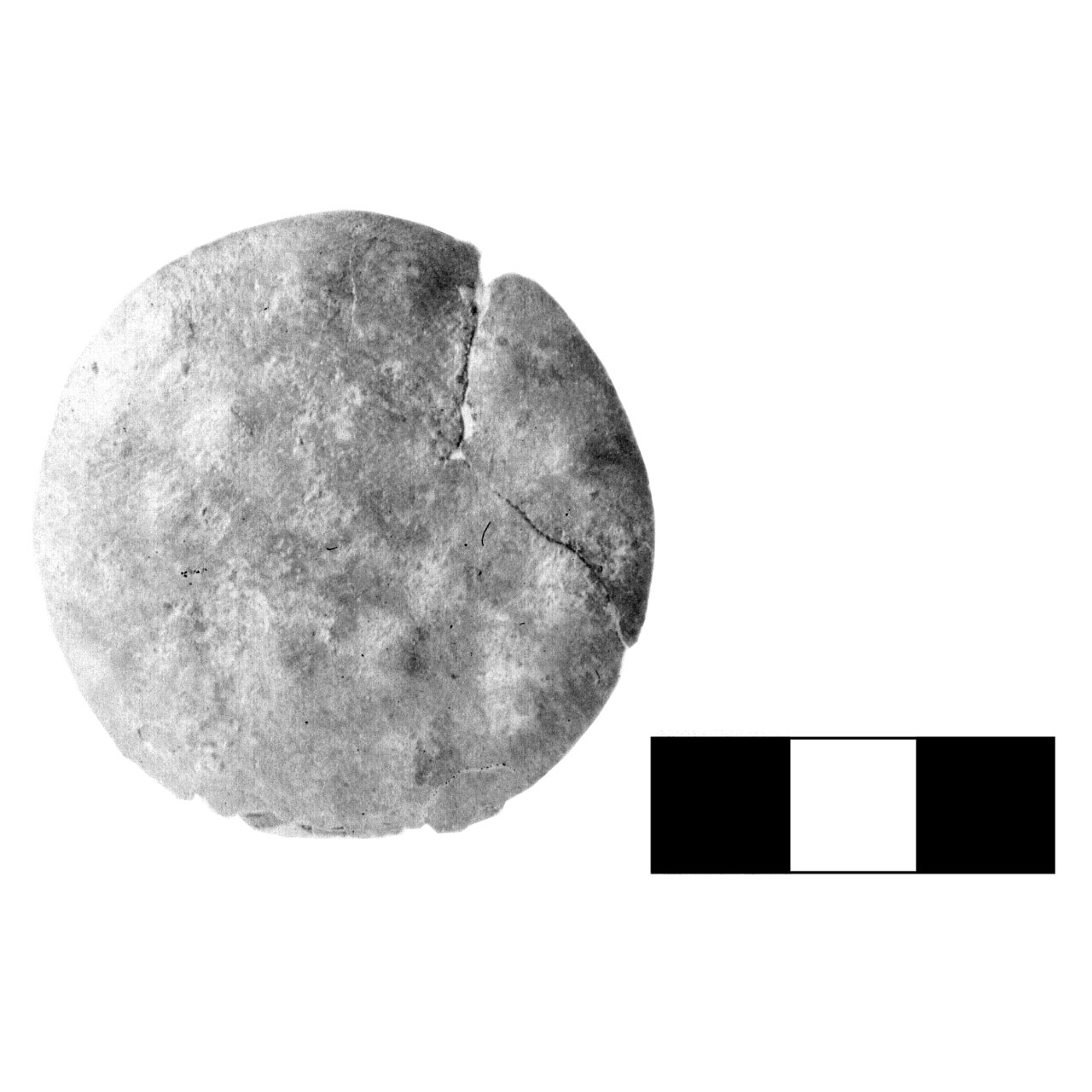 bottone - fase Piceno IV A (sec. VI a.C)