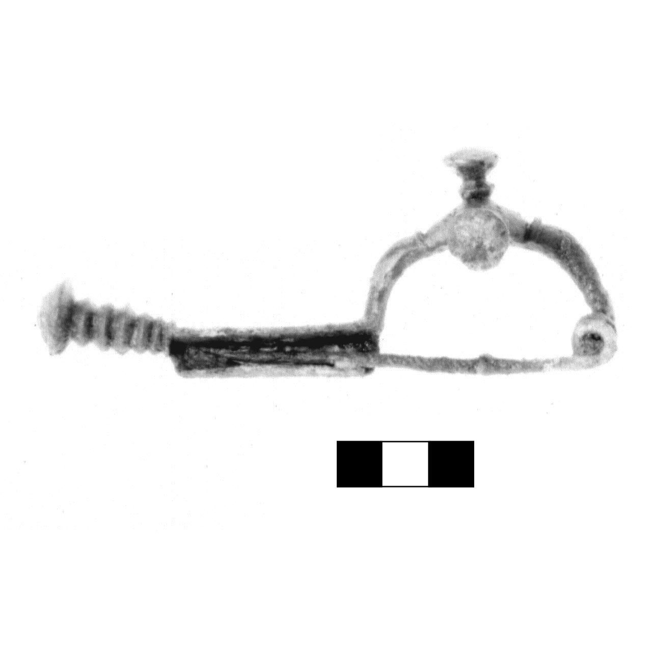 fibula a tre bottoni - fase Piceno IV A (sec. VI a.C)