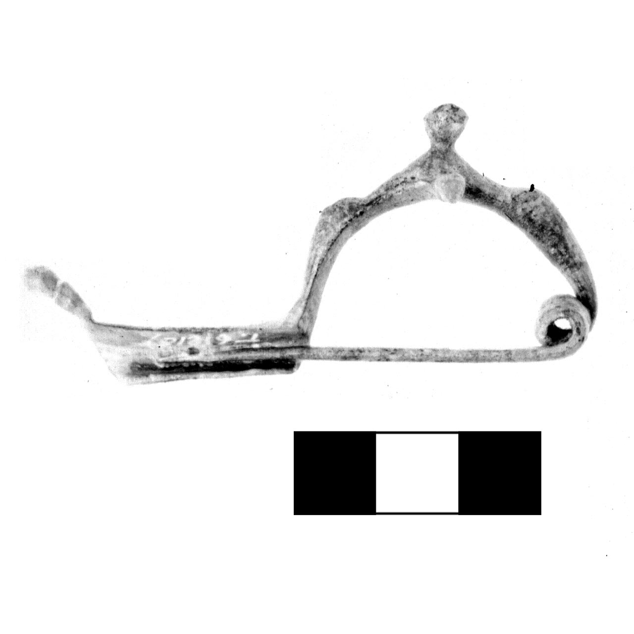 fibula a tre bottoni - fase Piceno IV A (sec. VI a.C)