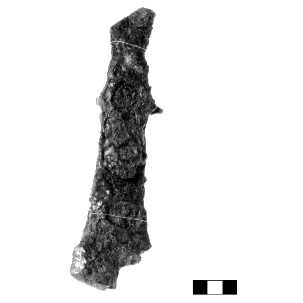 ascia - fase Piceno IV A (sec. VI a.C)