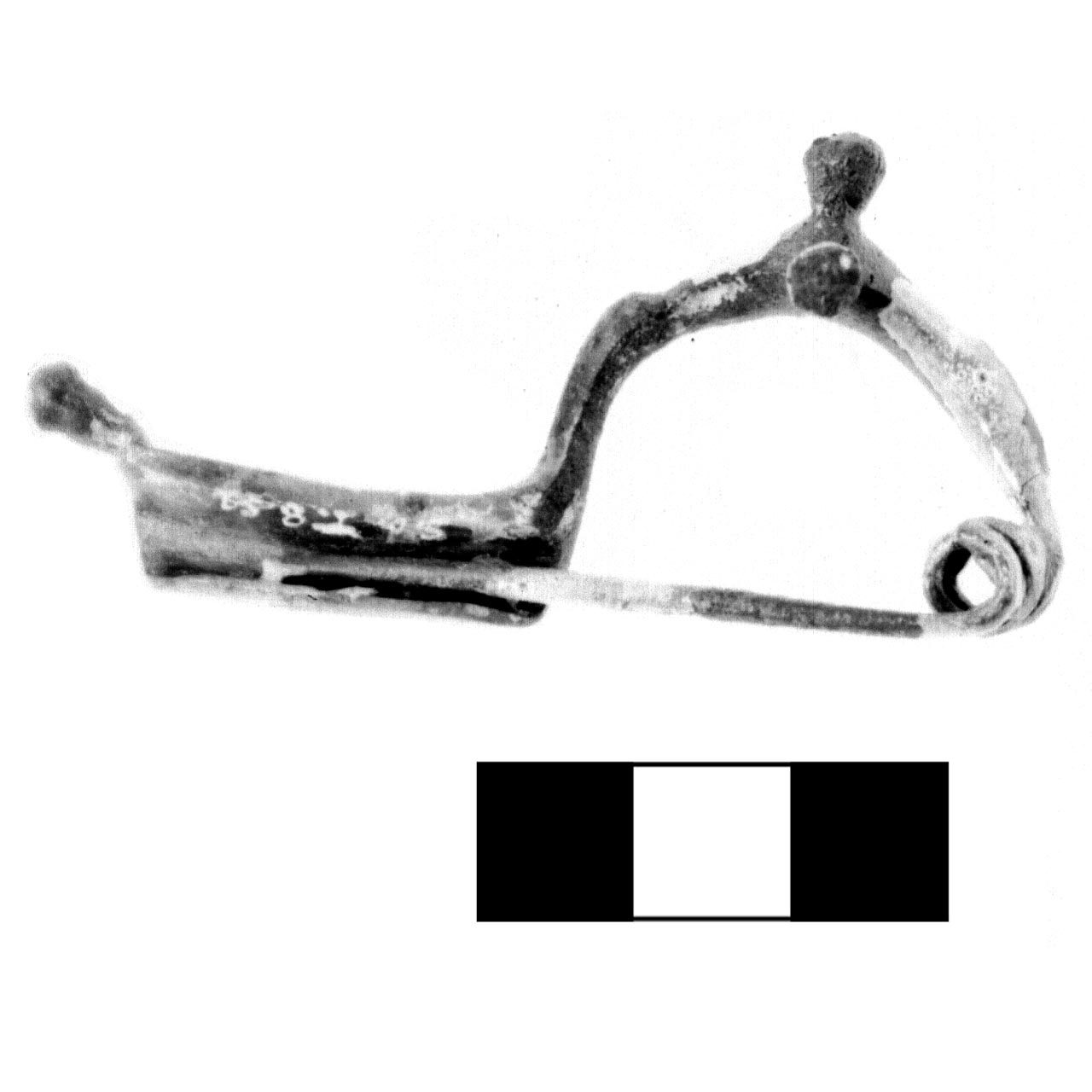 fibula a tre bottoni - fase Piceno IV A (sec. VI a.C)