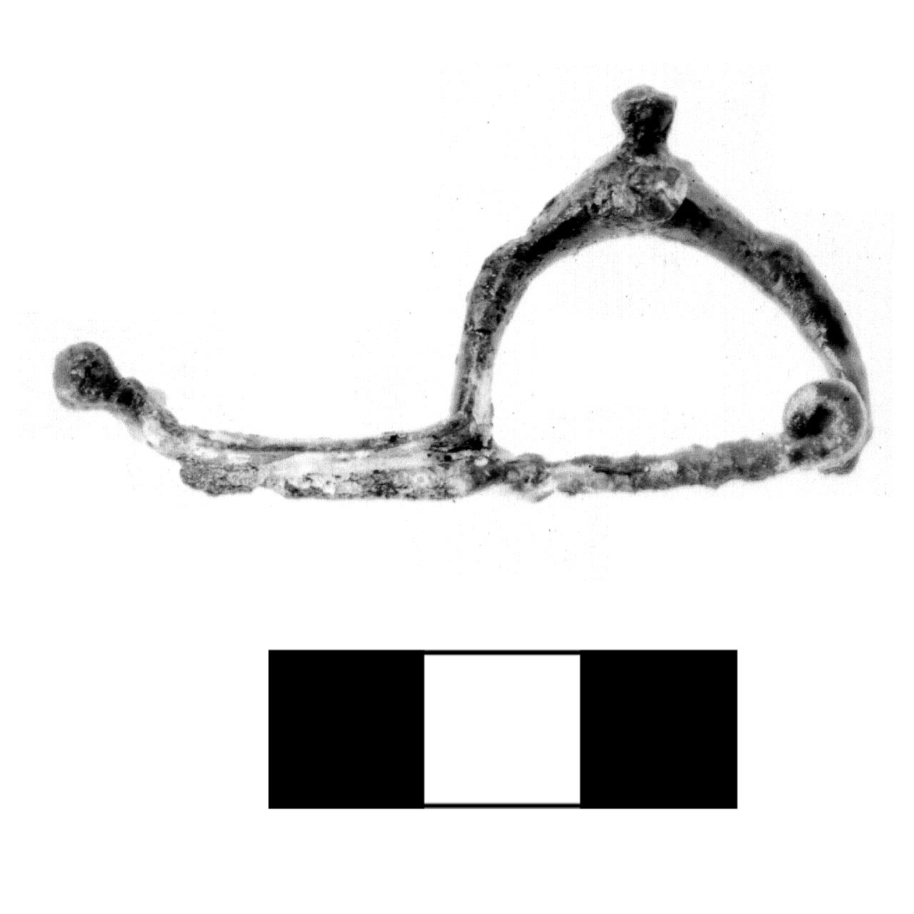 fibula a tre bottoni - fase Piceno IV A (sec. VI a.C)