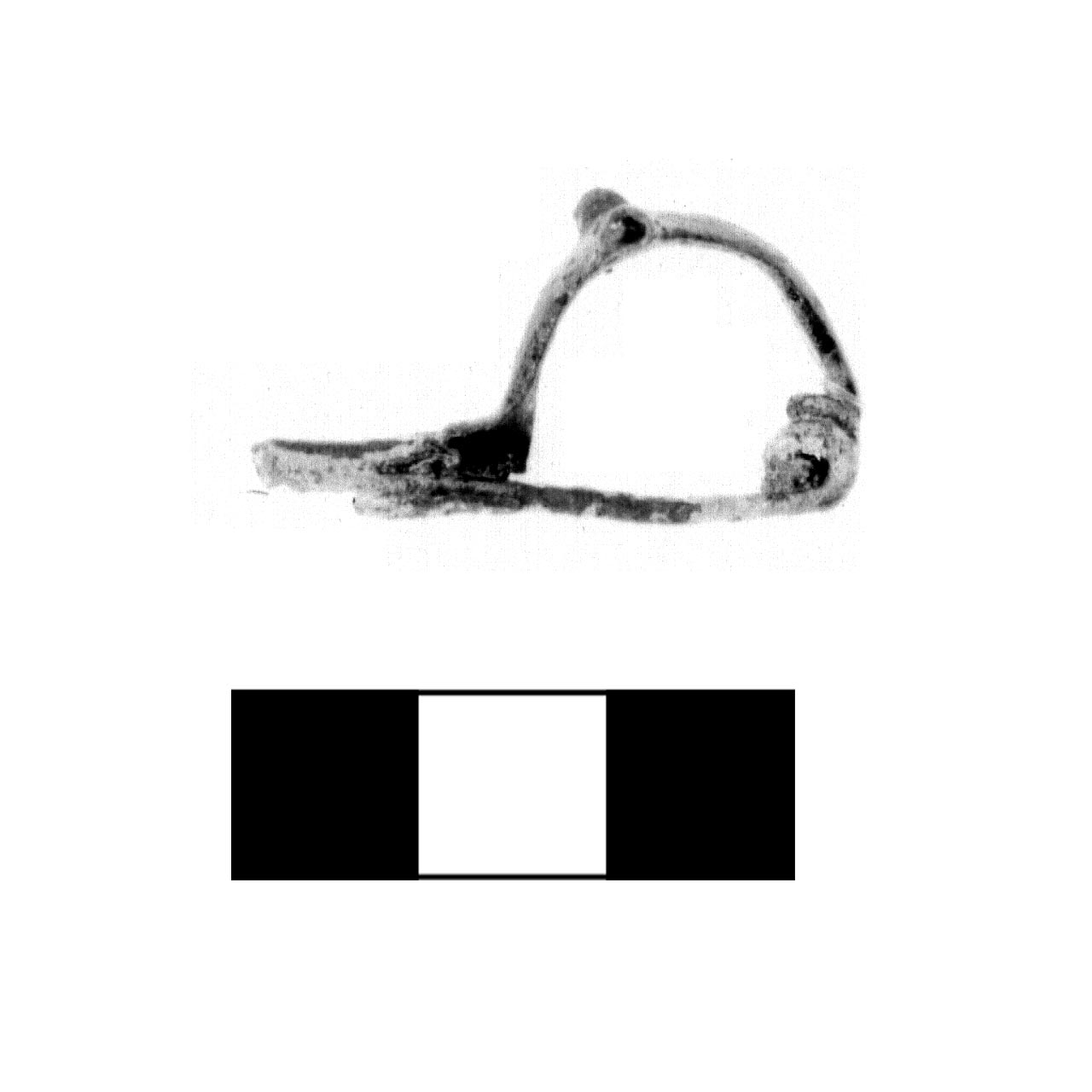 fibula a due bottoni - fase Piceno IV A (sec. VI a.C)