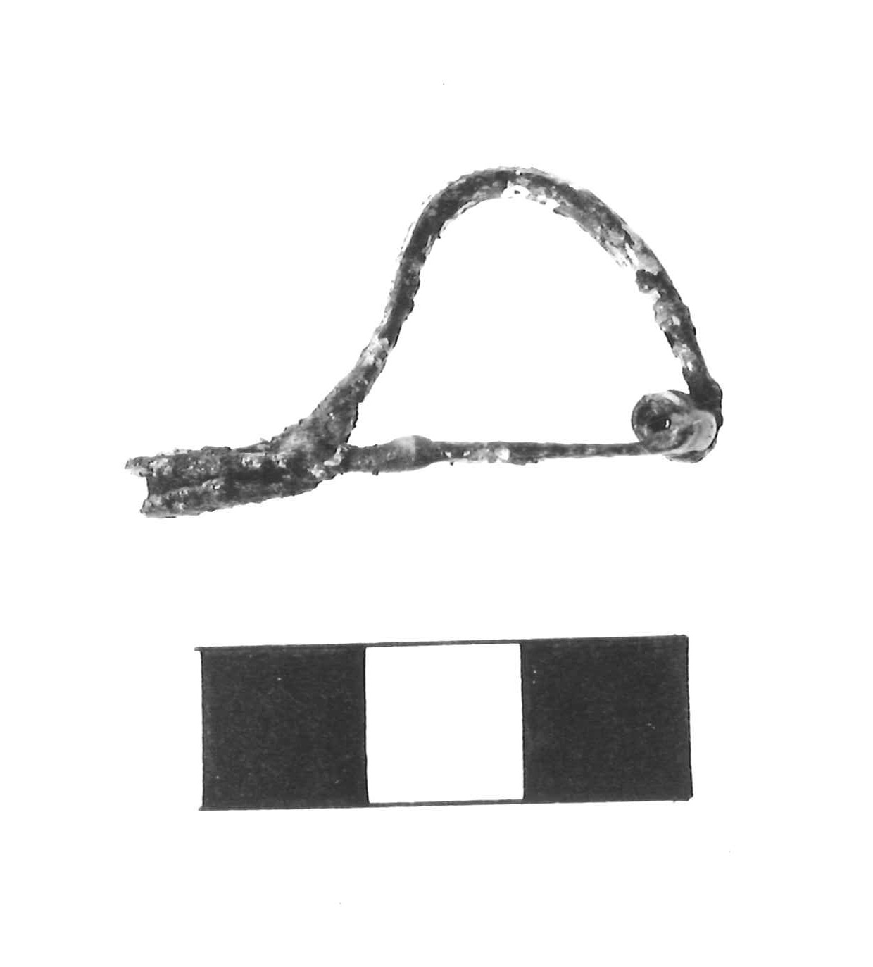 fibula pre-certosa - fase Piceno IV A (sec. VI a.C)