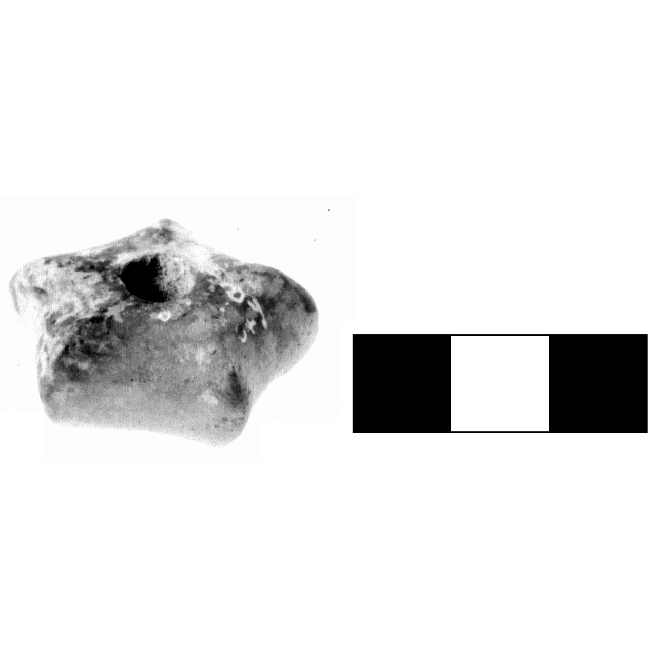 fuseruola - fase Piceno IV A (sec. VI a.C)