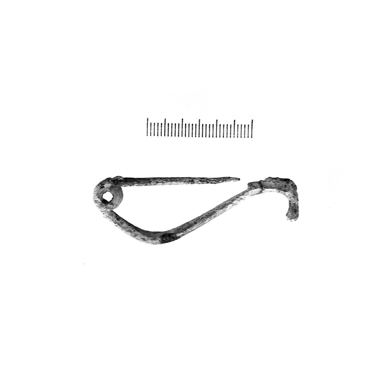 fibula certosa - fase Piceno IV B (secc. VI - V a.C)