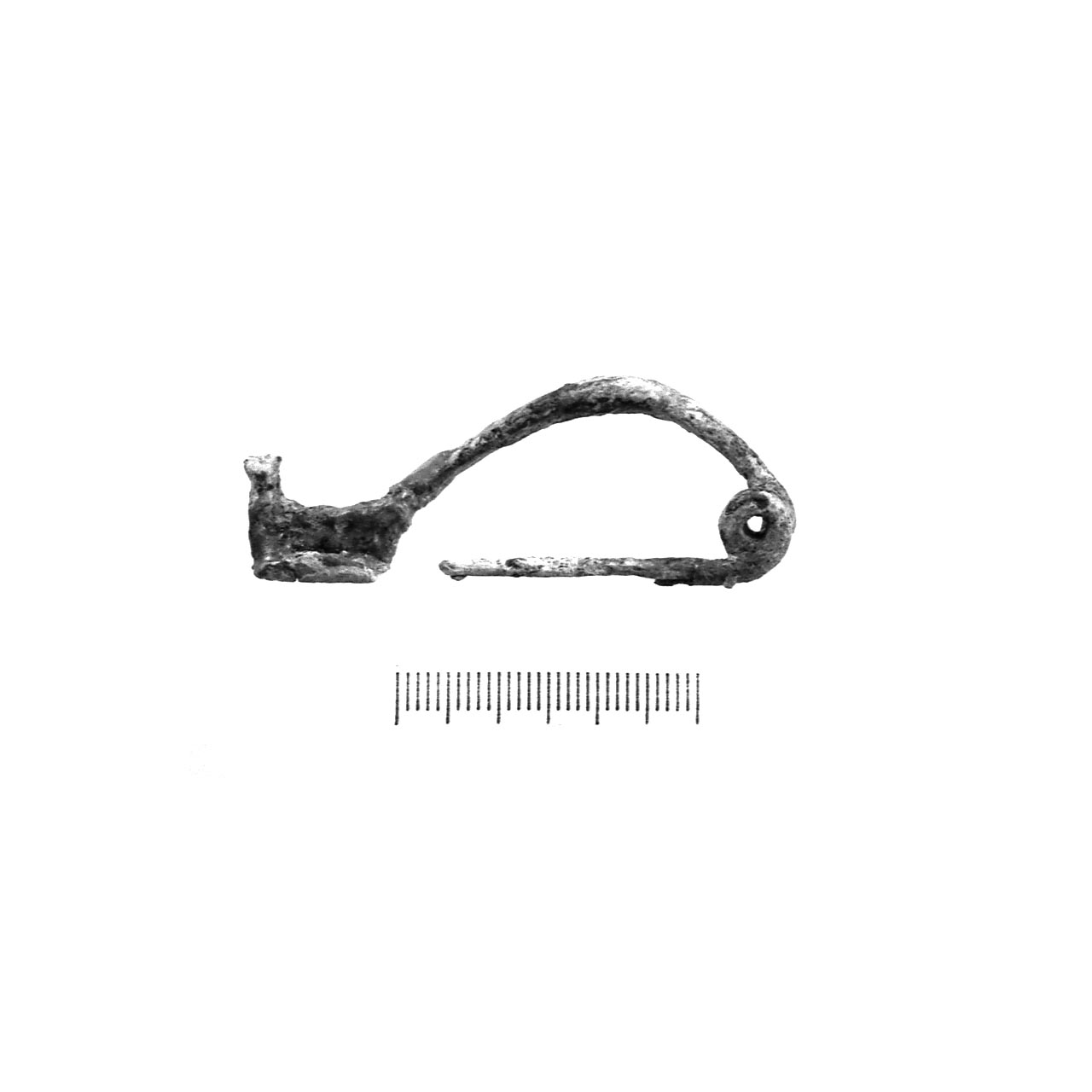 fibula certosa - fase Piceno IV B (secc. VI - V a.C)