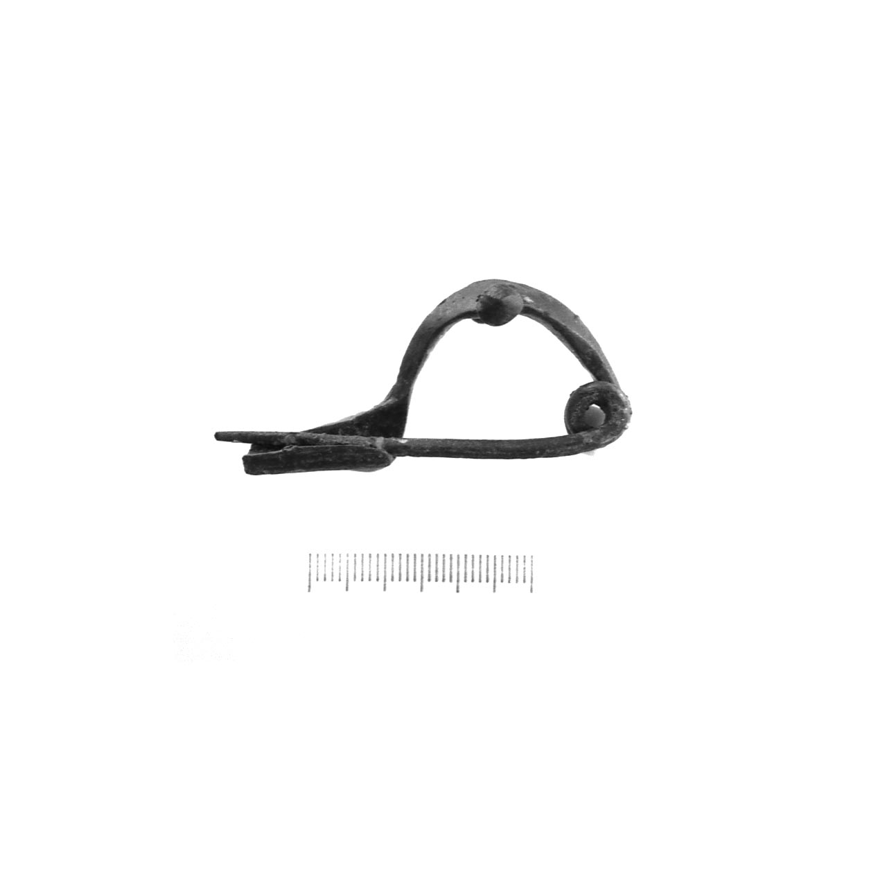 fibula a due bottoni - fase Piceno IV A (sec. VI a.C)