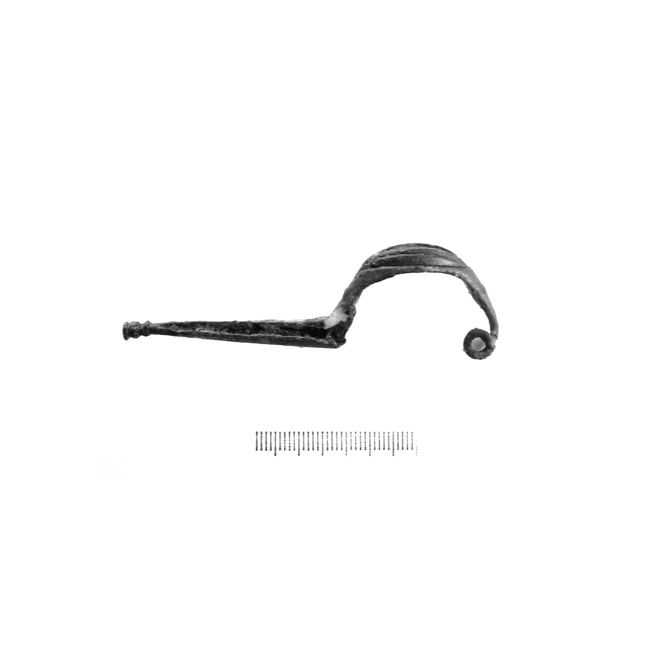 fibula a navicella - fase Piceno IV A (sec. VI a.C)