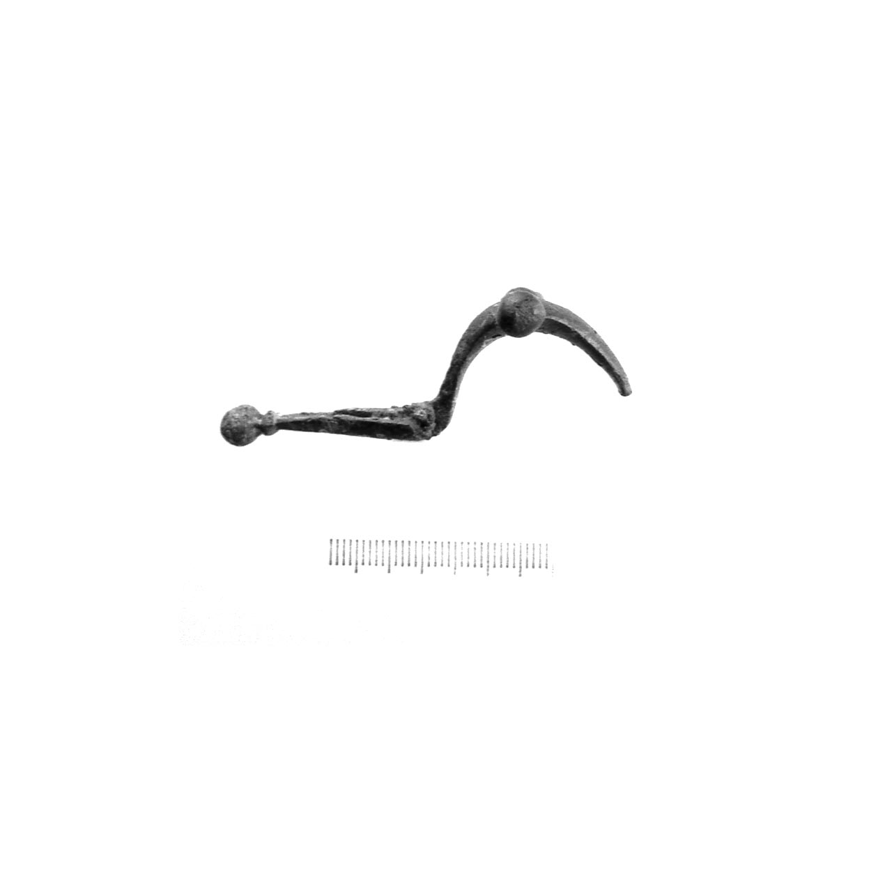 fibula a due bottoni - fase Piceno IV A (sec. VI a.C)