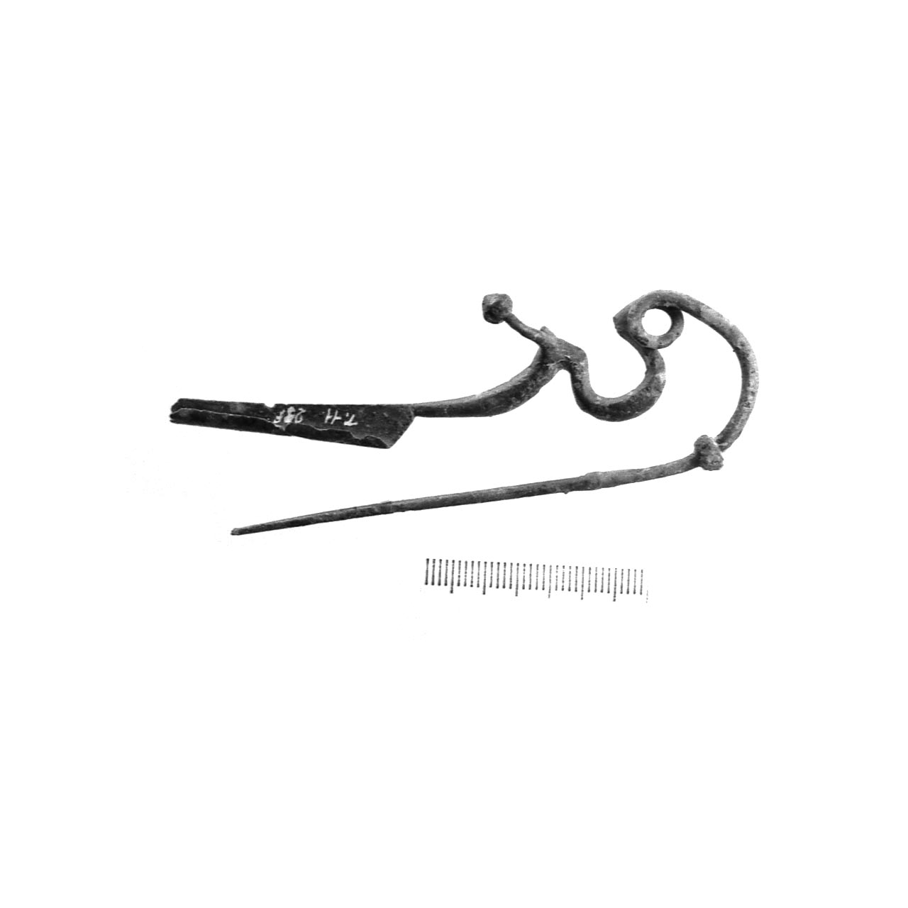 fibula a drago - fase Piceno IV A (sec. VI a.C)