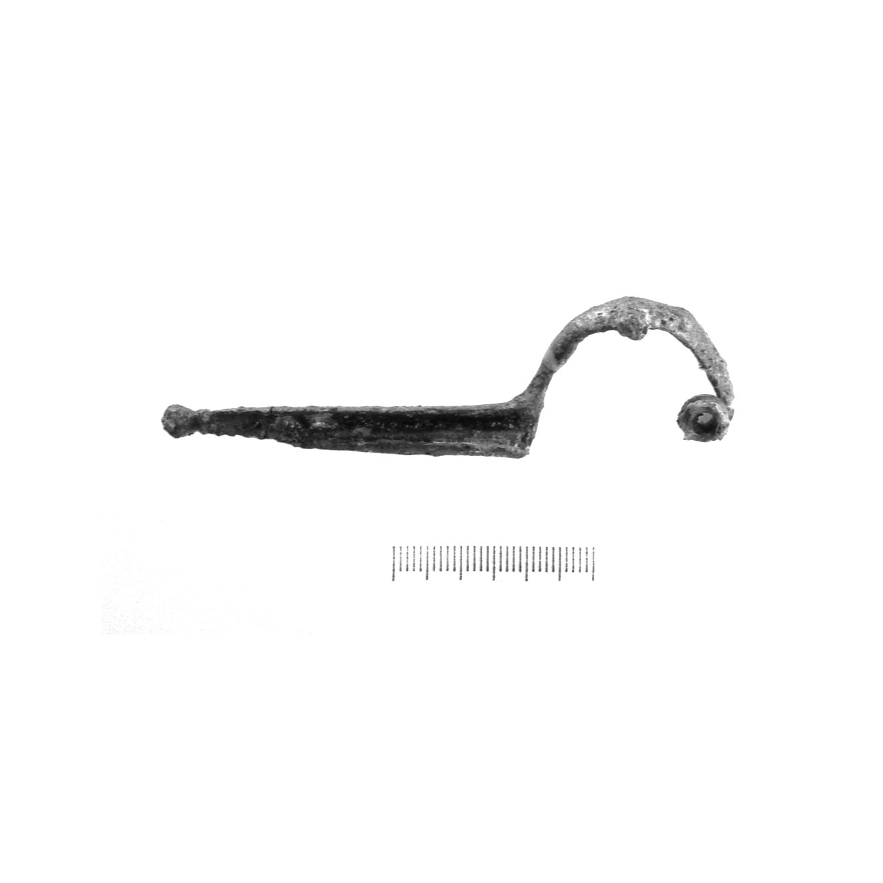 fibula a due bottoni - fase Piceno IV A (sec. VI a.C)