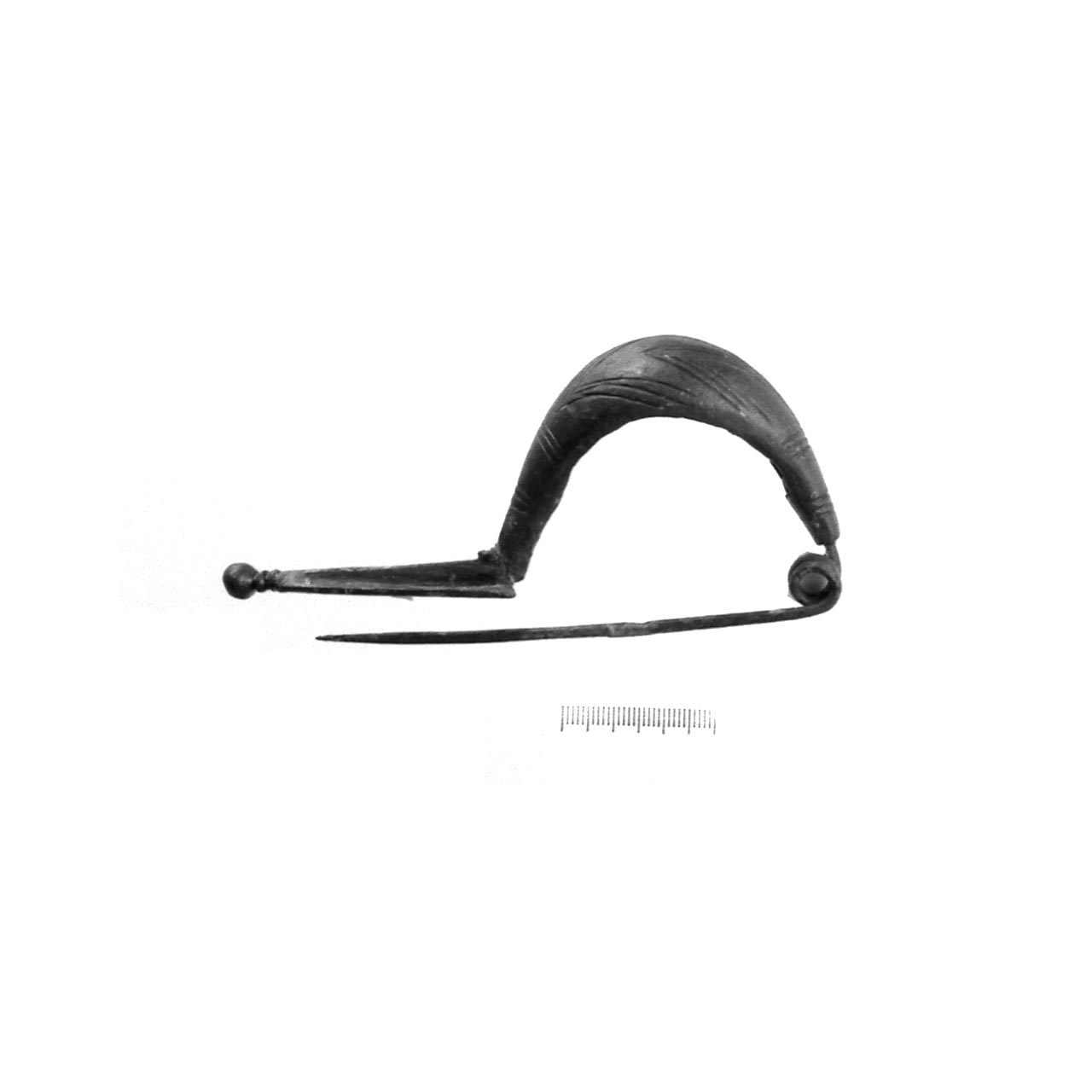 fibula a navicella - fase Piceno IV A (sec. VI a.C)