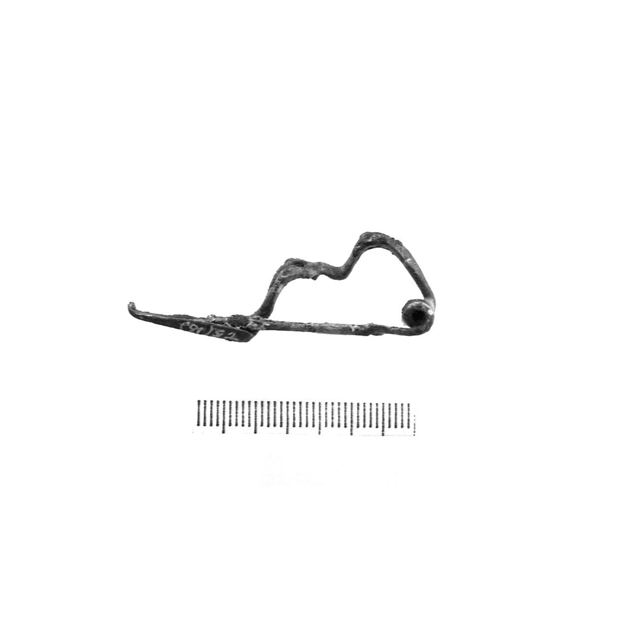 fibula a due gobbe - fase Piceno IV A (sec. VI a.C)