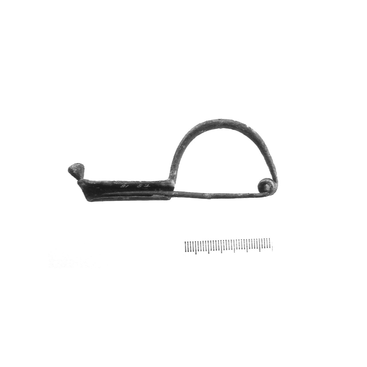 fibula precertosa - fase Piceno IV A (sec. VI a.C)