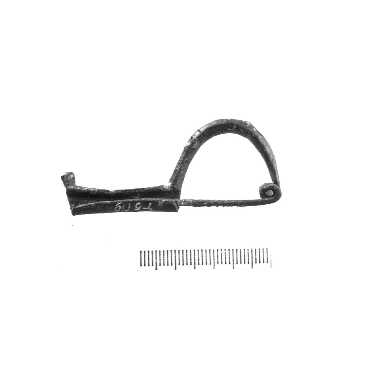 fibula precertosa - fase Piceno IV A (sec. VI a.C)