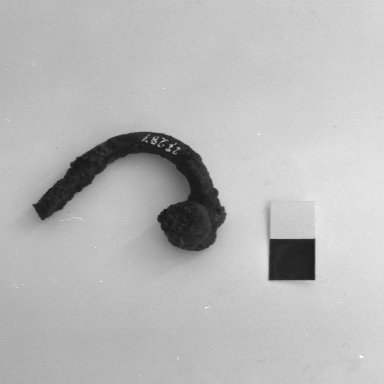 fibula - fase Piceno VI (fine/inizio secc. IV - III a.C)