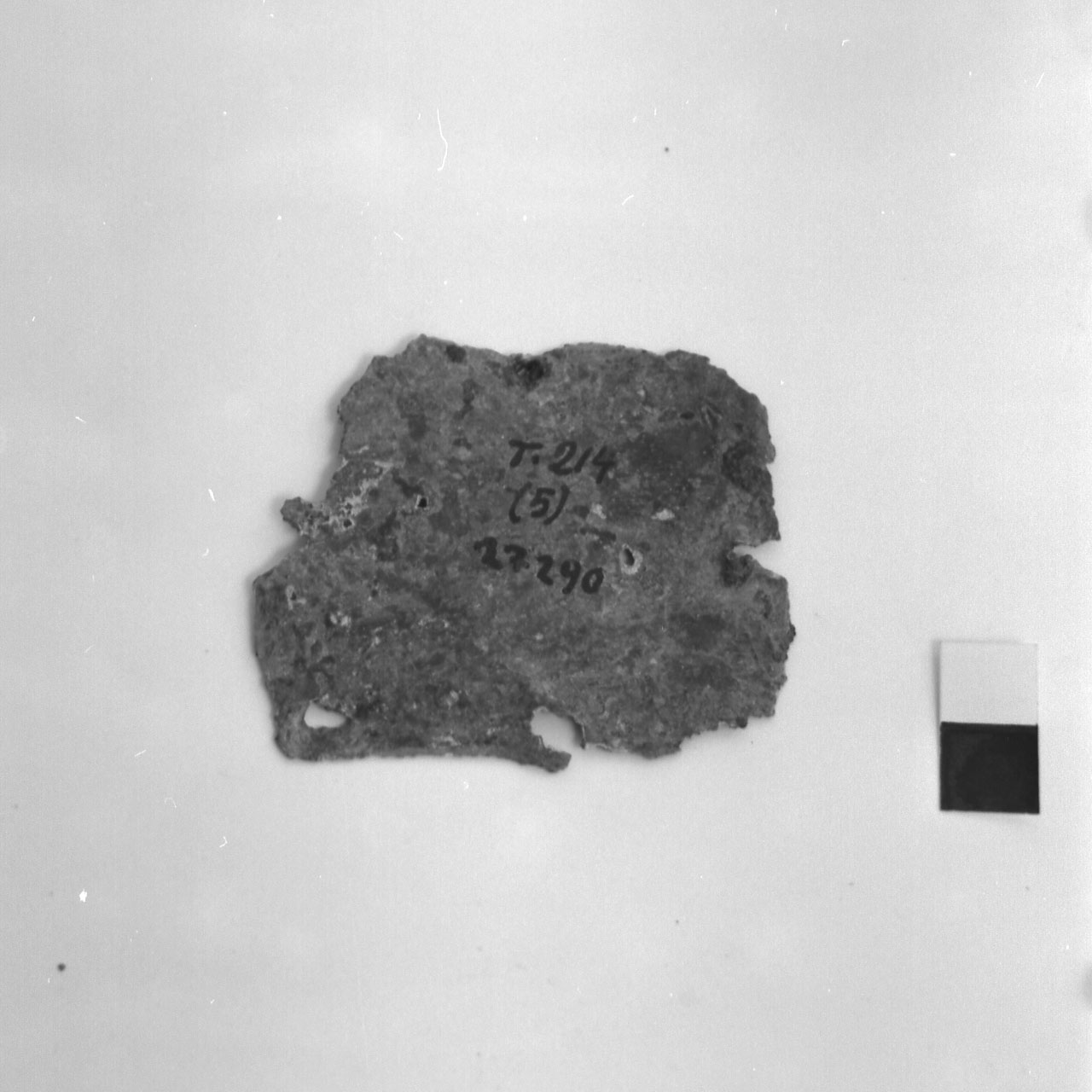 lamina/ frammento - fase Piceno VI (fine/inizio secc. IV - III a.C)