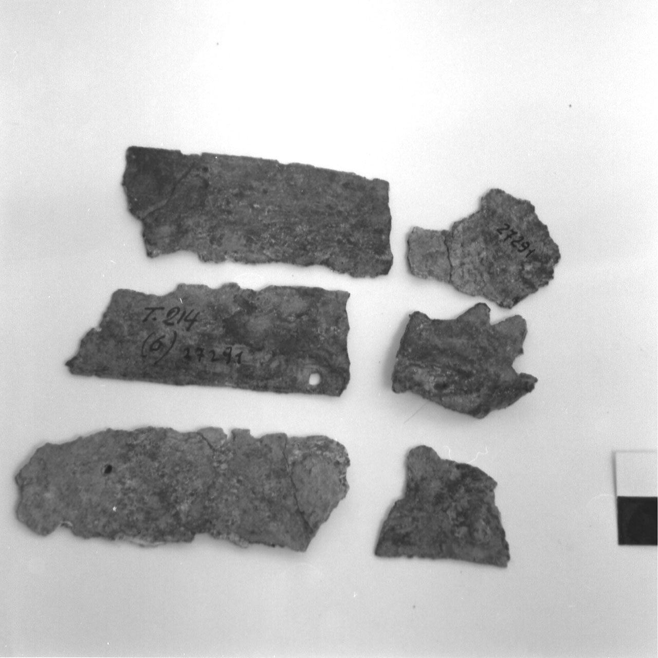 lamina - fase Piceno VI (fine/inizio secc. IV - III a.C)