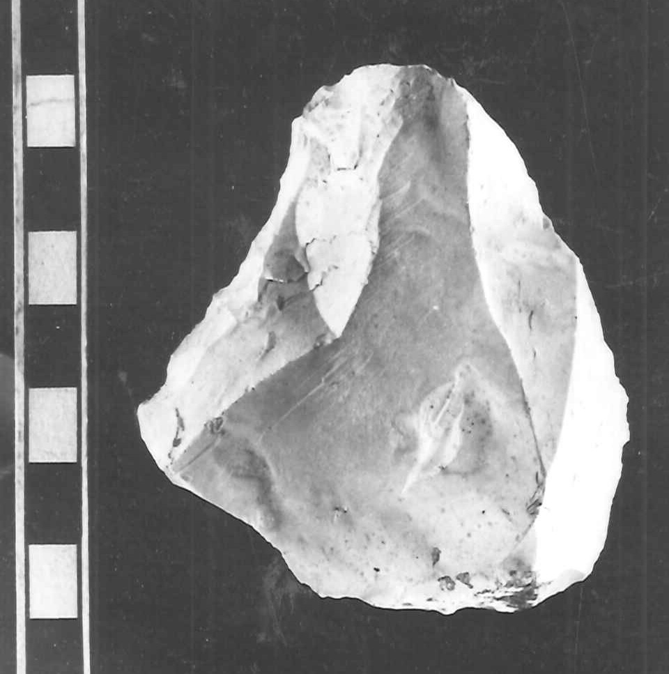 raschiatoio - acheulano (paleolitico inferiore)