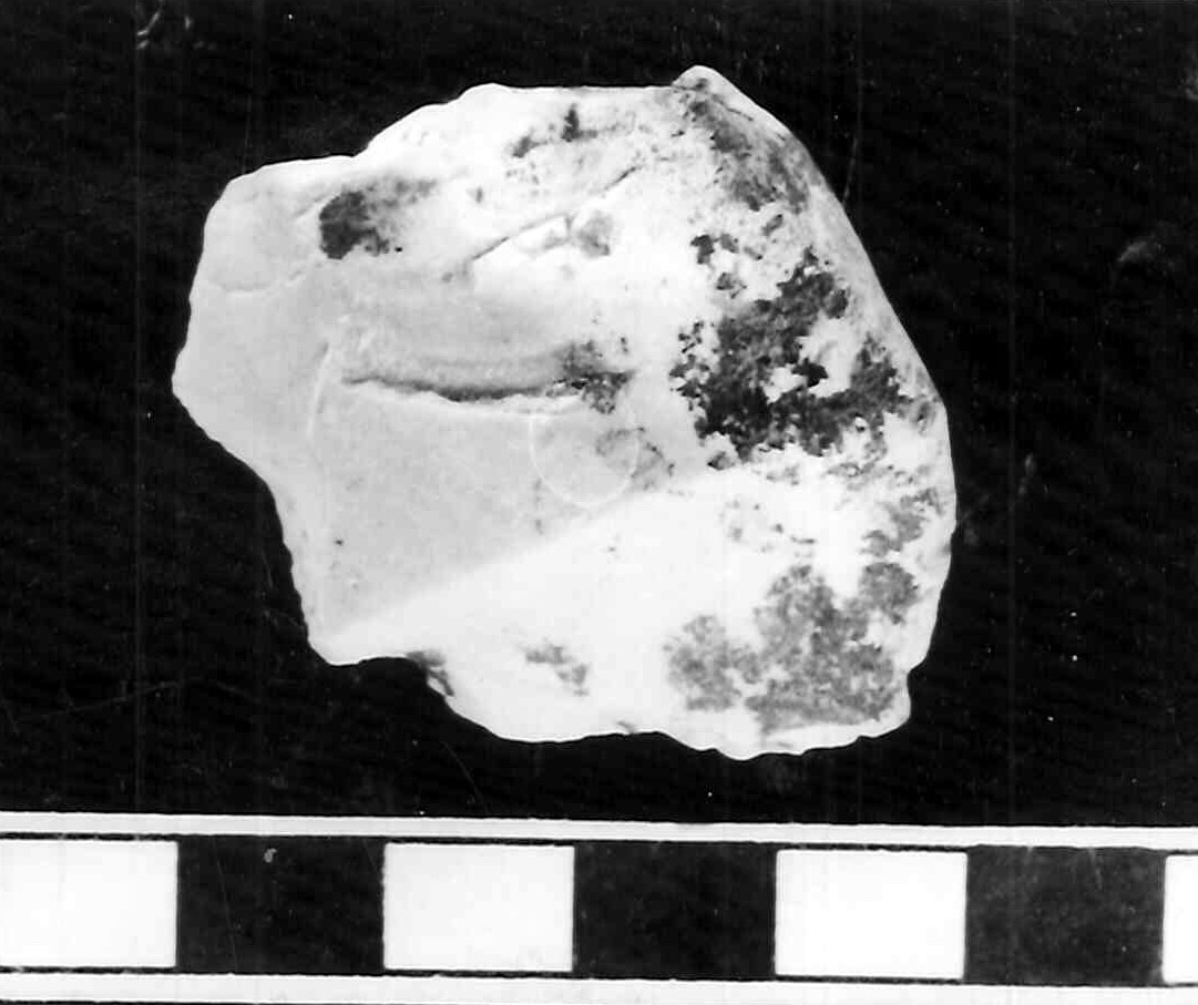 raschiatoio denticolato - acheulano (paleolitico inferiore)