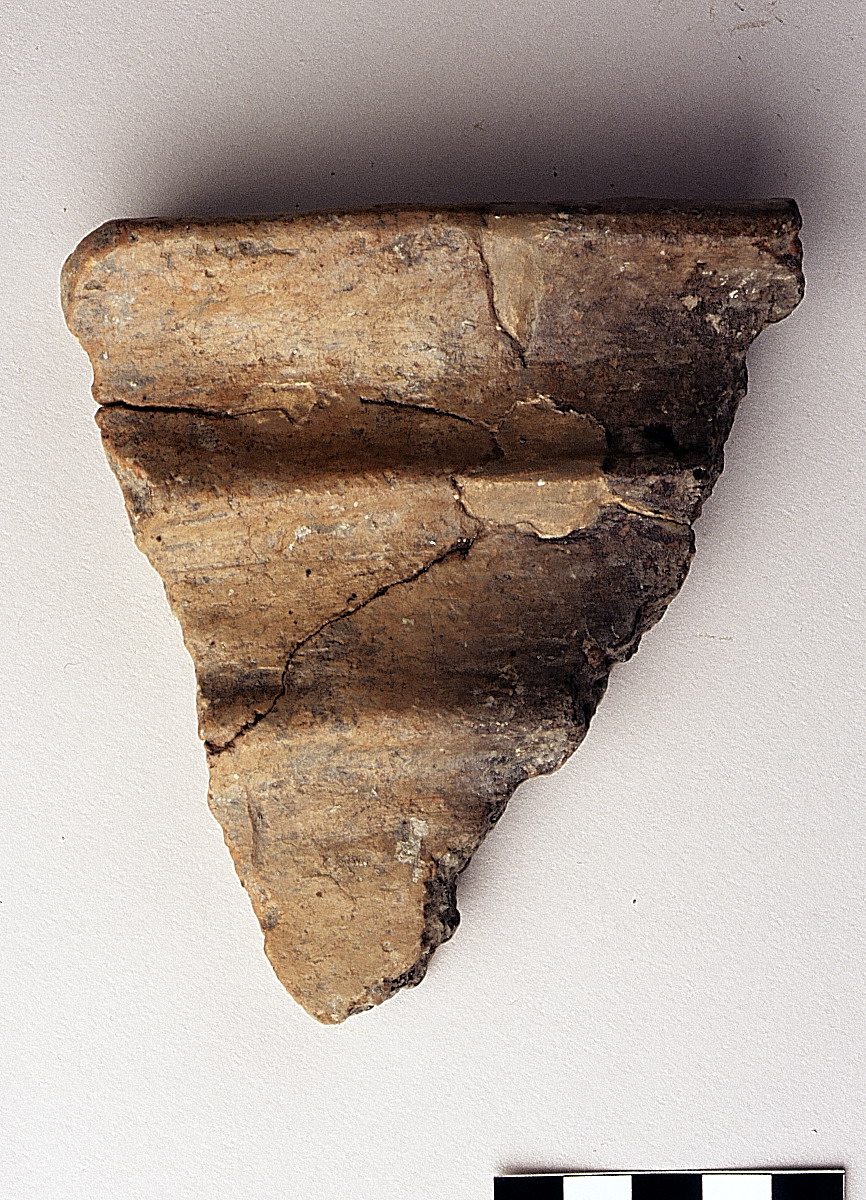 orlo di olla - bronzo antico 2 (bronzo antico)