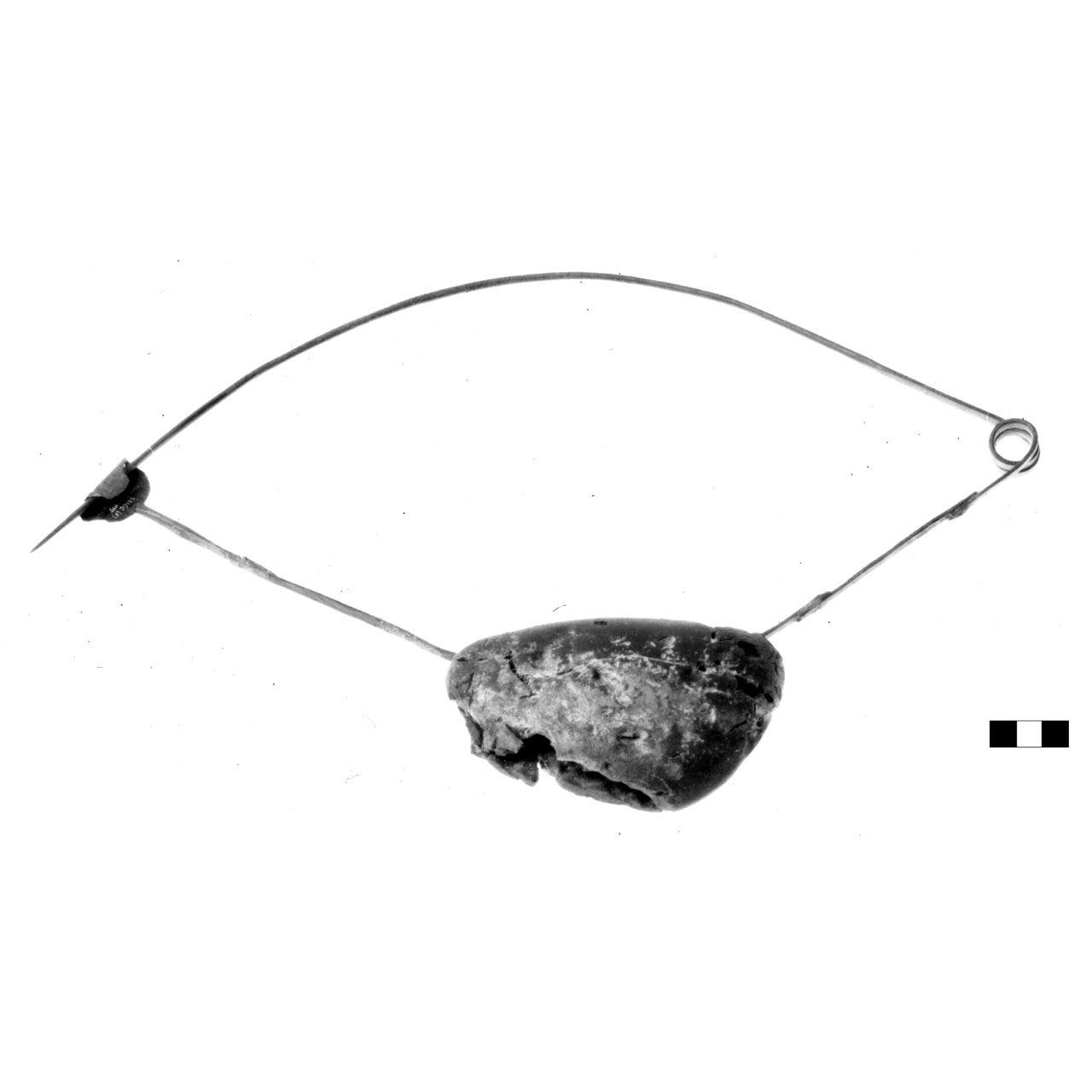 fibula ad arco rivestito - fase Piceno IV A (sec. VI a.C)