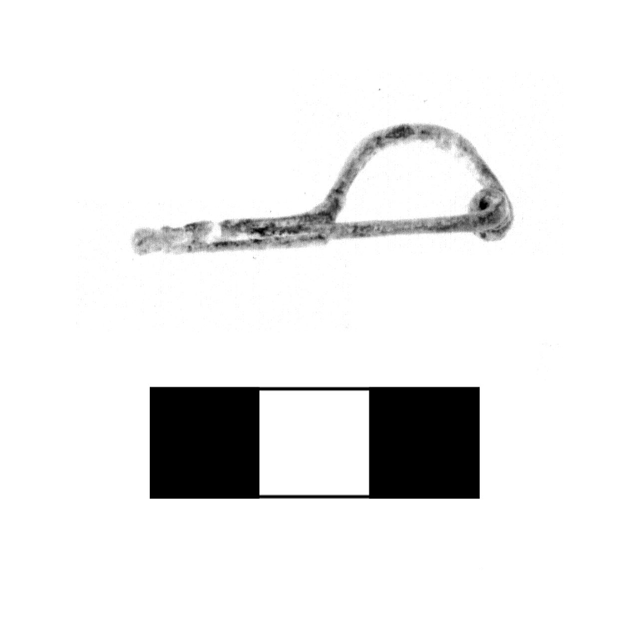 fibula a due bottoni - fase Piceno IV A (sec. VI a.C)