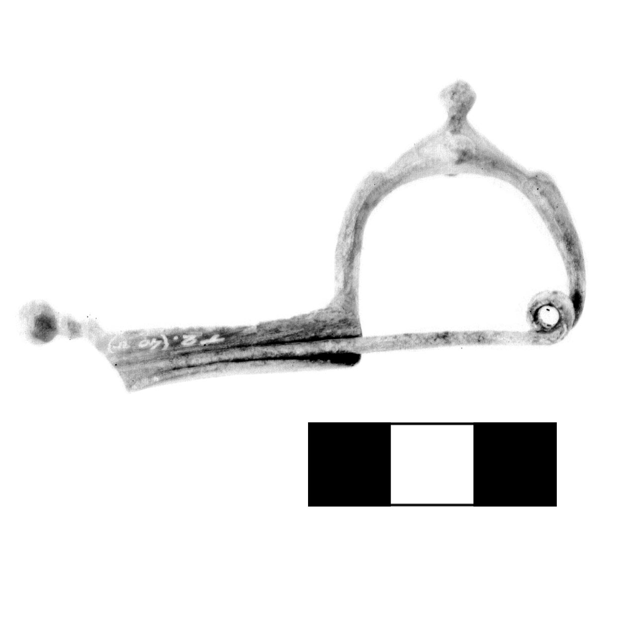 fibula a tre bottoni - fase Piceno IV A (sec. VI a.C)