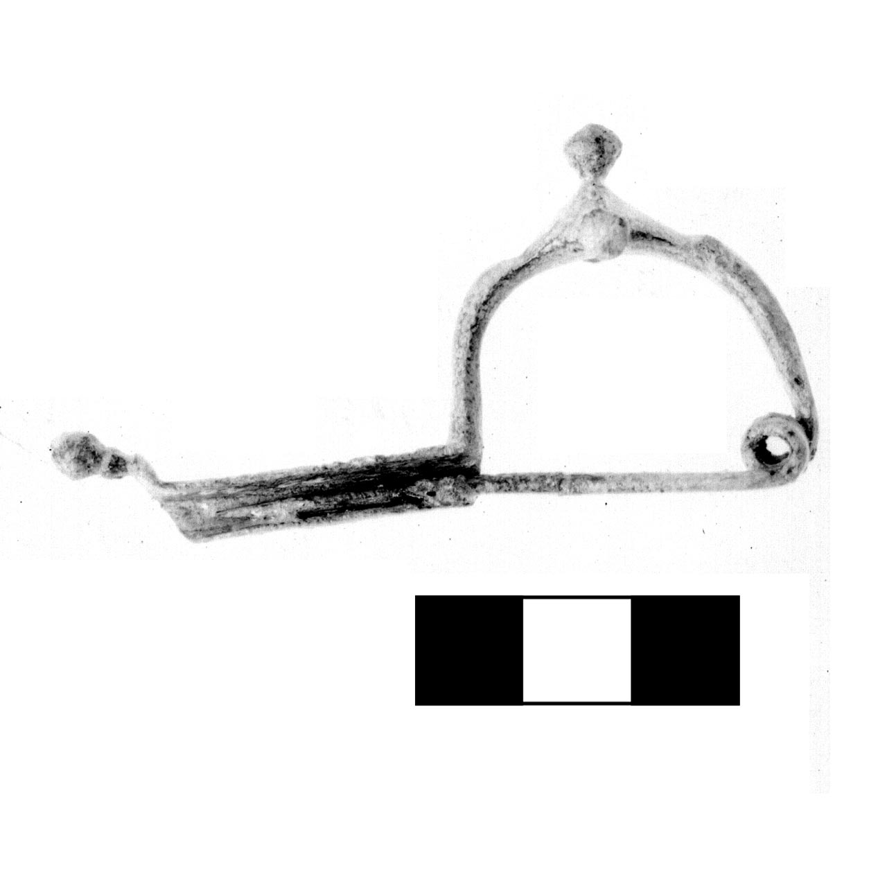 fibula a tre bottoni - fase Piceno IV A (sec. VI a.C)