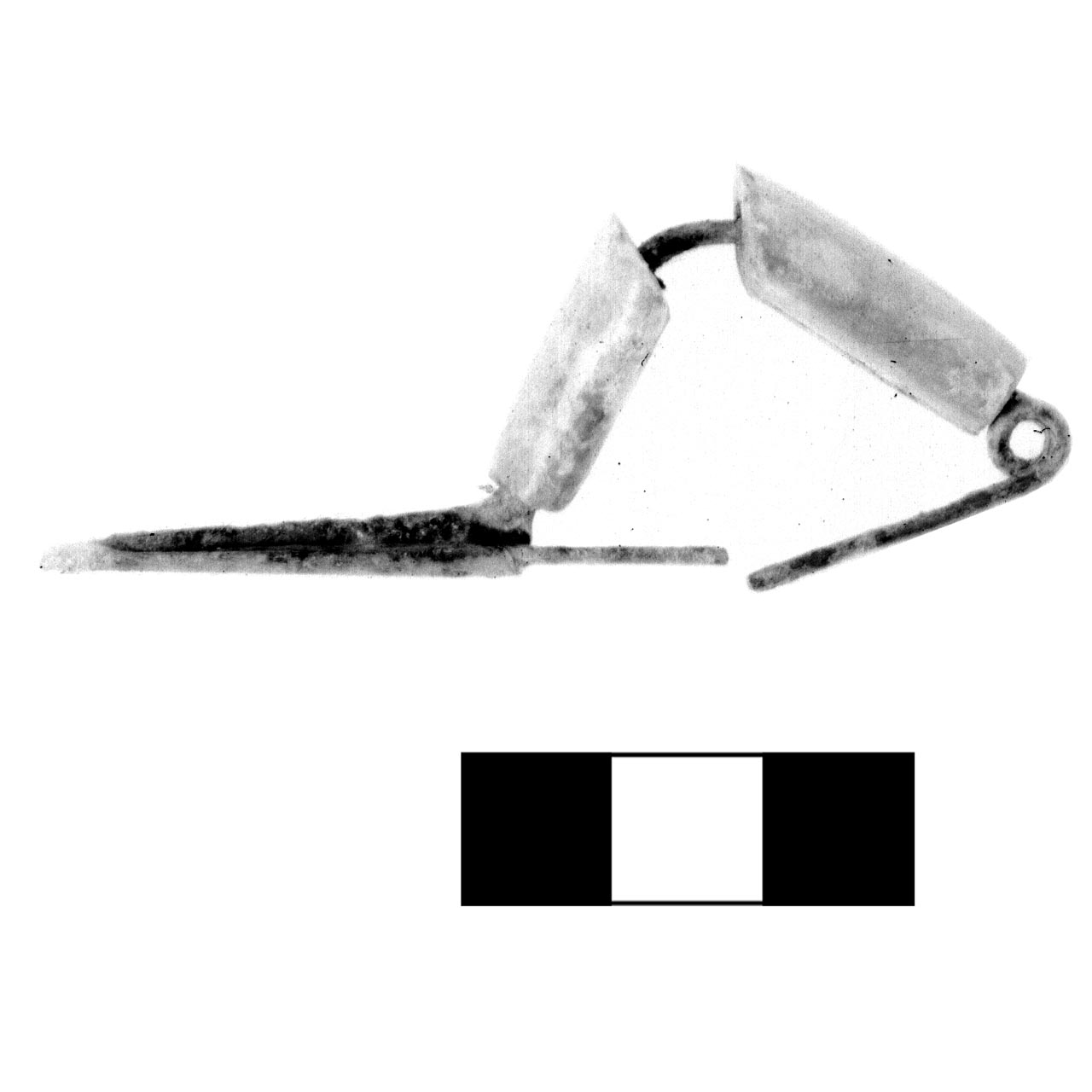 fibula ad arco rivestito - fase Piceno IV A (sec. VI a.C)