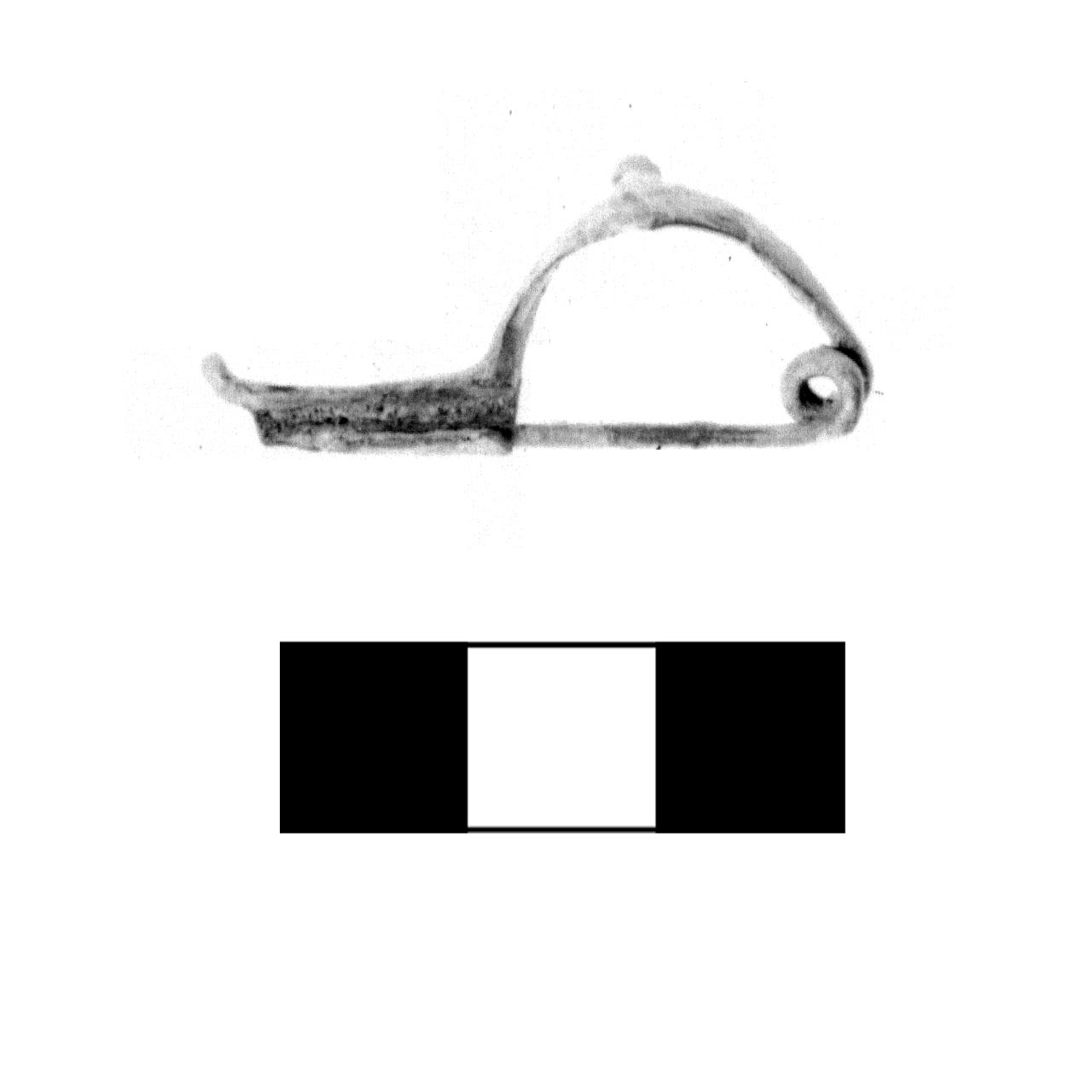 fibula a due bottoni - fase Piceno IV A (sec. VI a.C)