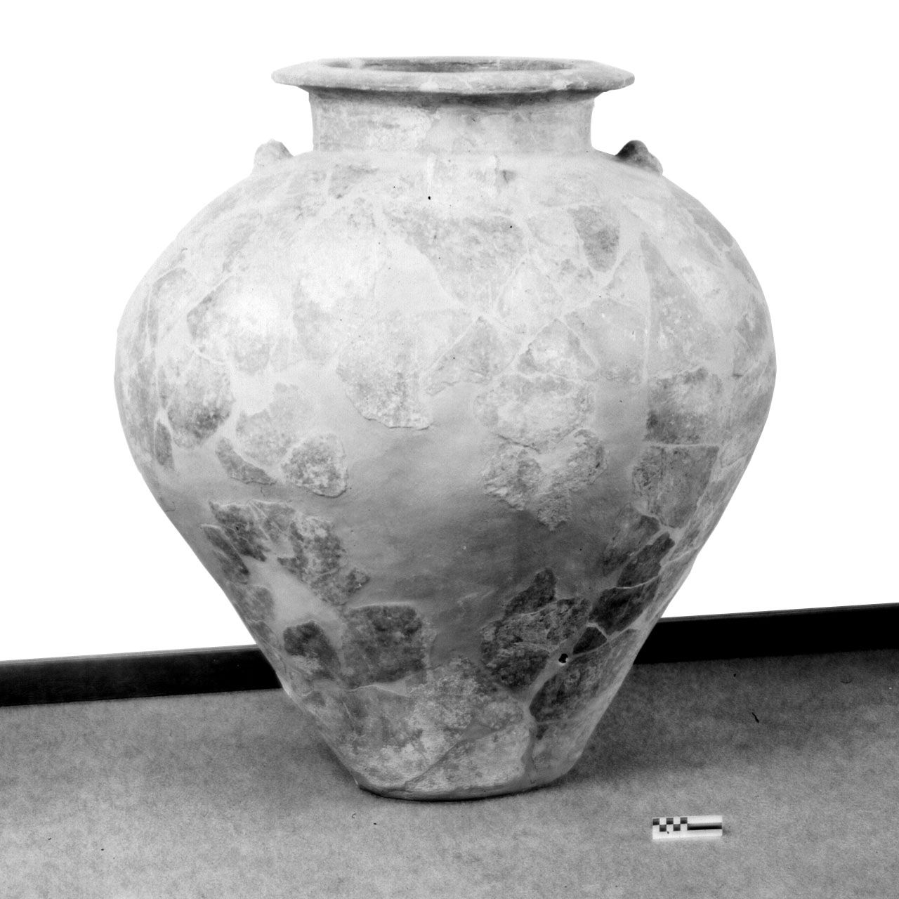 dolio - fase Piceno IV A (sec. VI a.C)