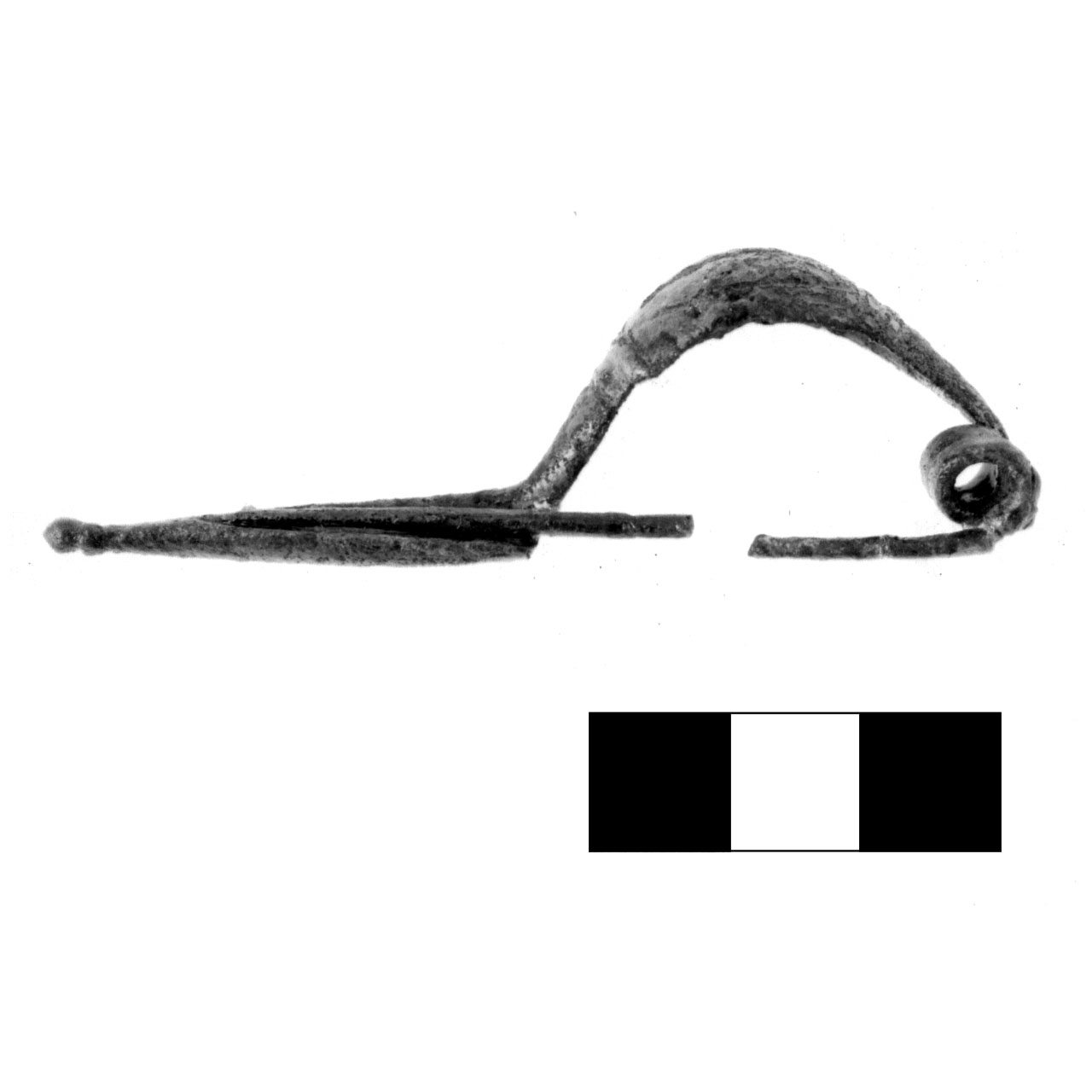 fibula a navicella - fase Piceno IV A (sec. VI a.C)