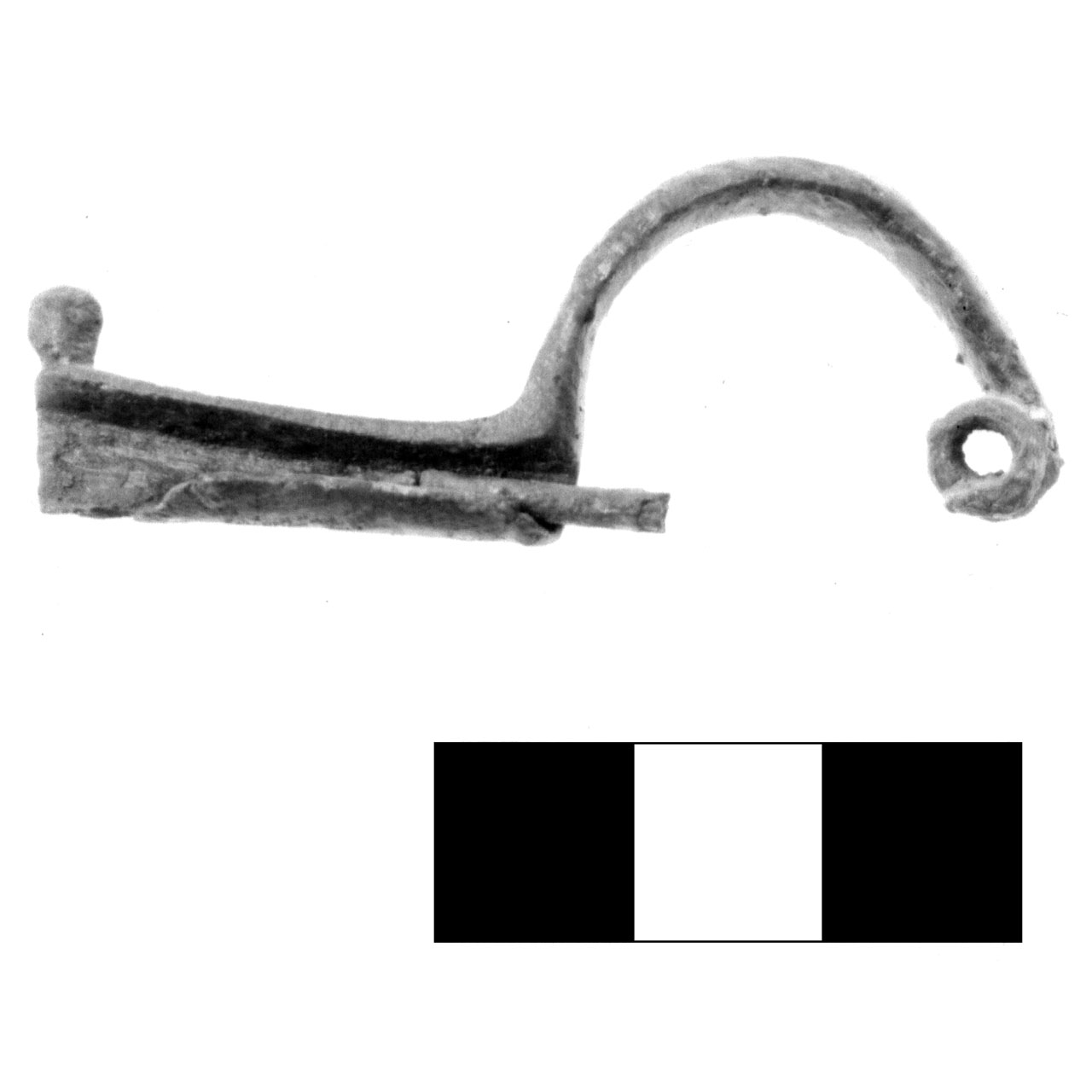 fibula pre-certosa - fase Piceno IV A (sec. VI a.C)
