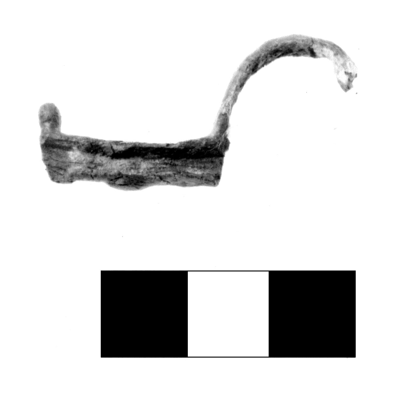 fibula pre-certosa - fase Piceno IV A (sec. VI a.C)