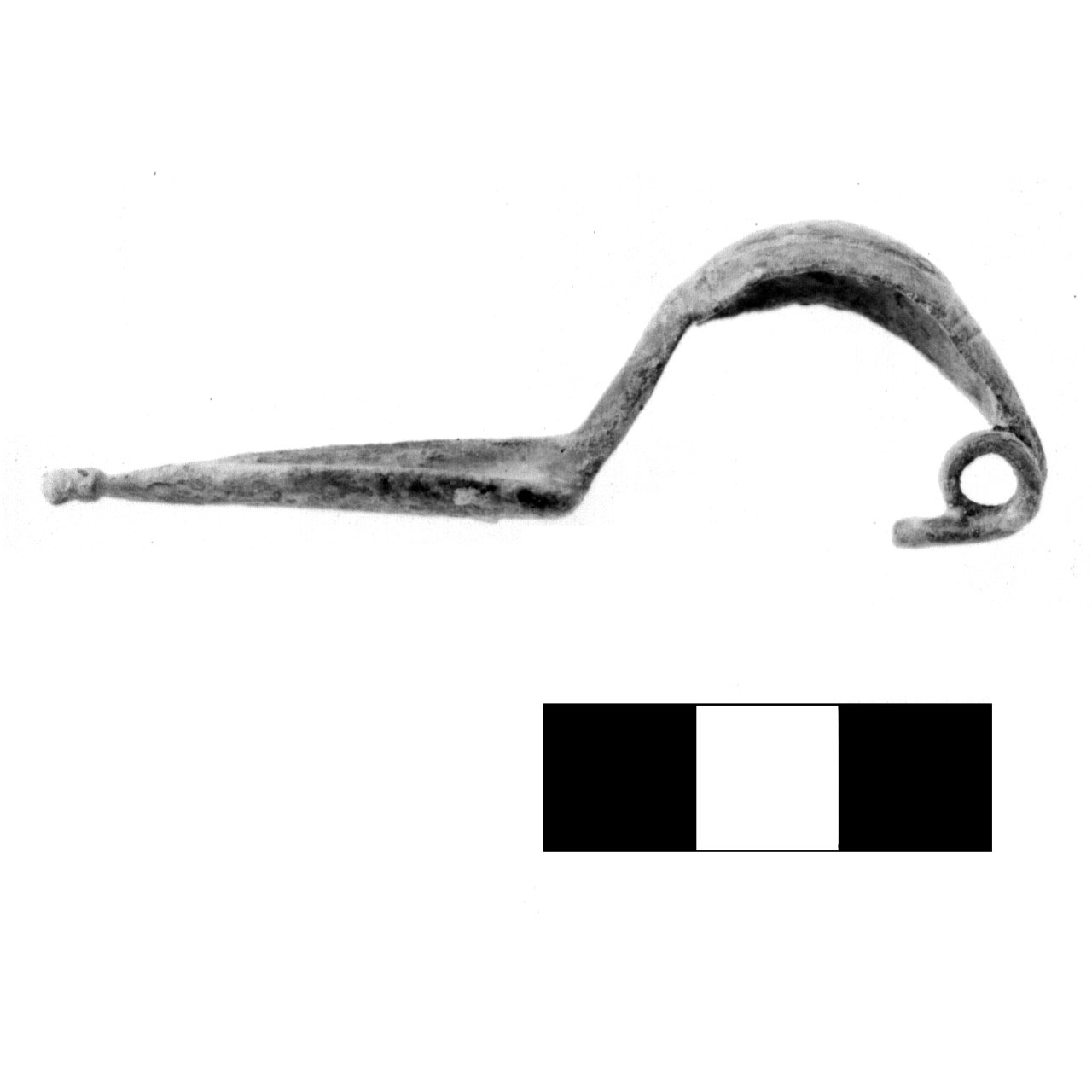 fibula a navicella - fase Piceno IV A (sec. VI a.C)