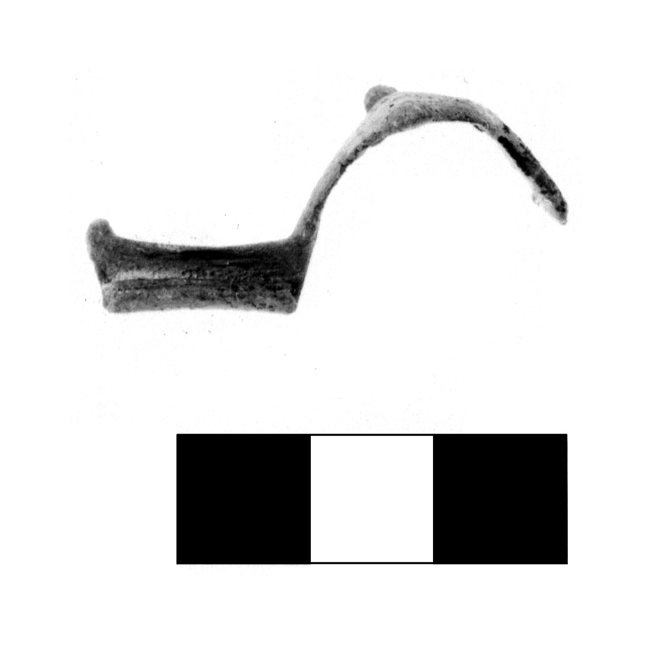 fibula a due bottoni - fase Piceno IV A (sec. VI a.C)