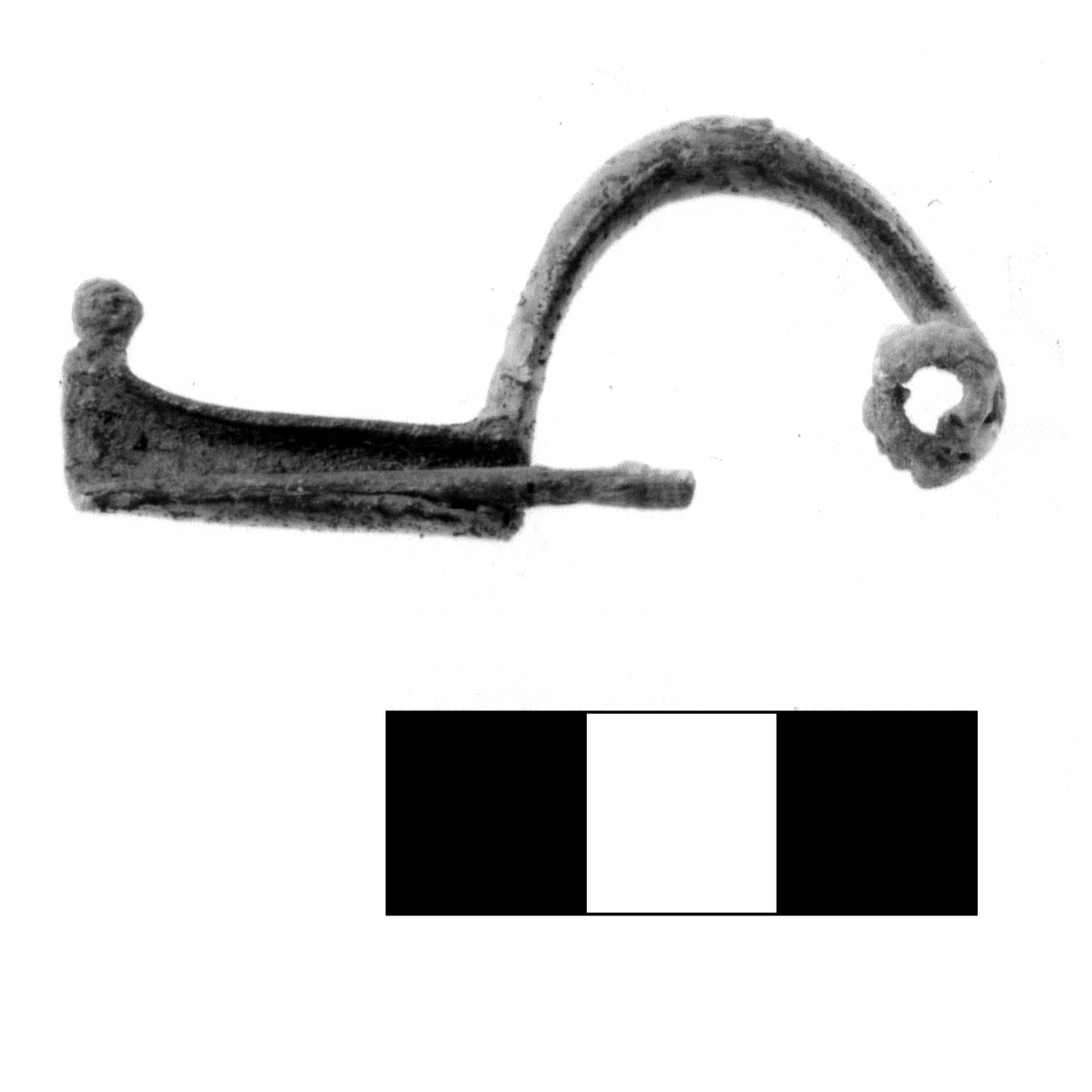 fibula pre-certosa - fase Piceno IV A (sec. VI a.C)