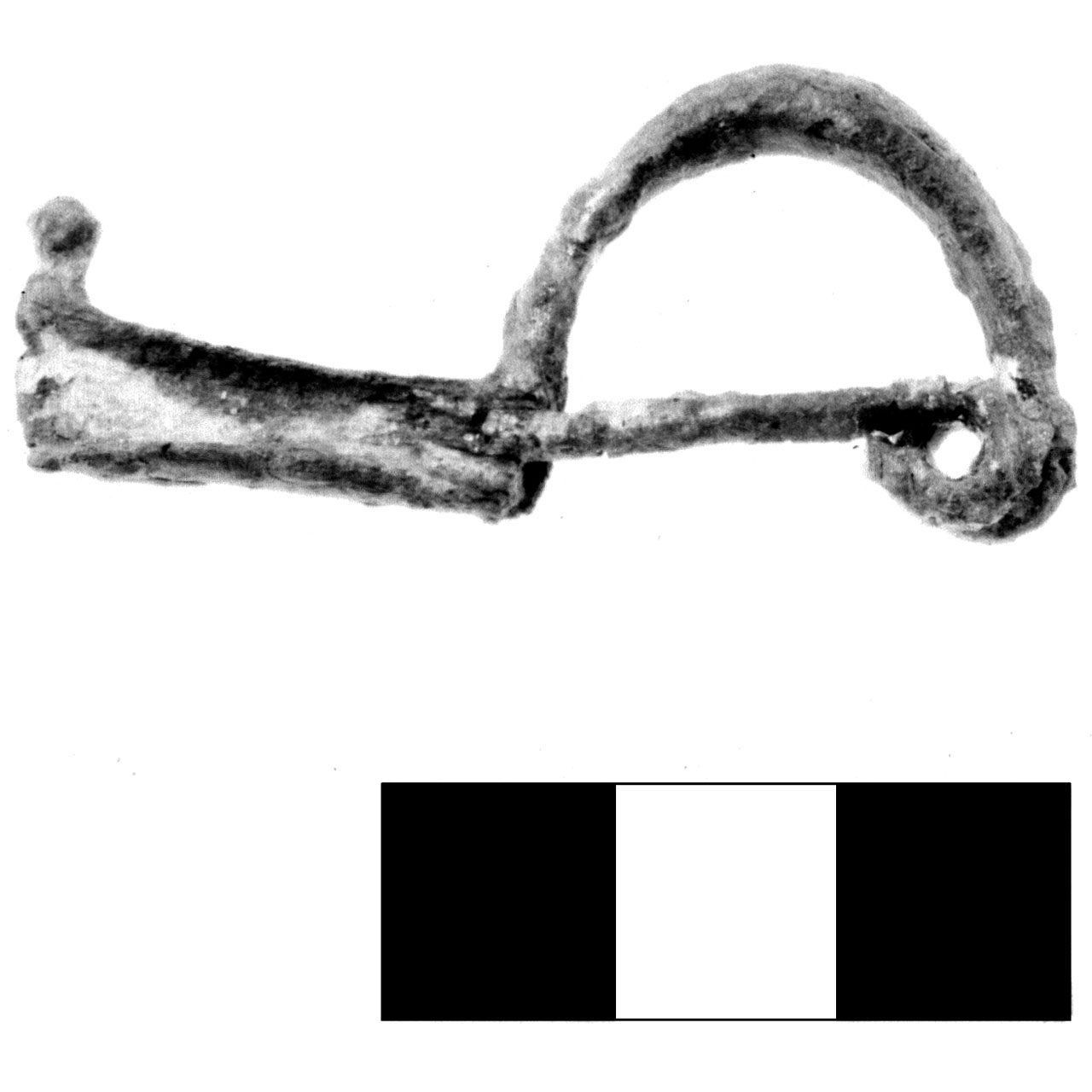 fibula pre-certosa - fase Piceno IV A (sec. VI a.C)