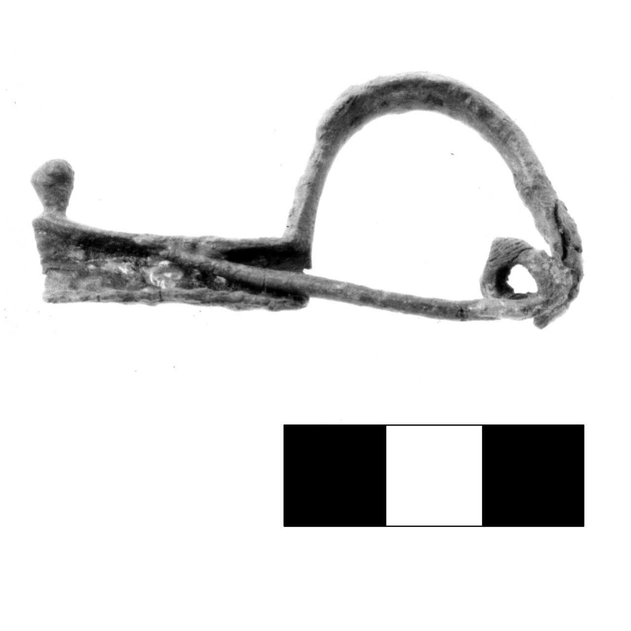 fibula pre-certosa - fase Piceno IV A (sec. VI a.C)