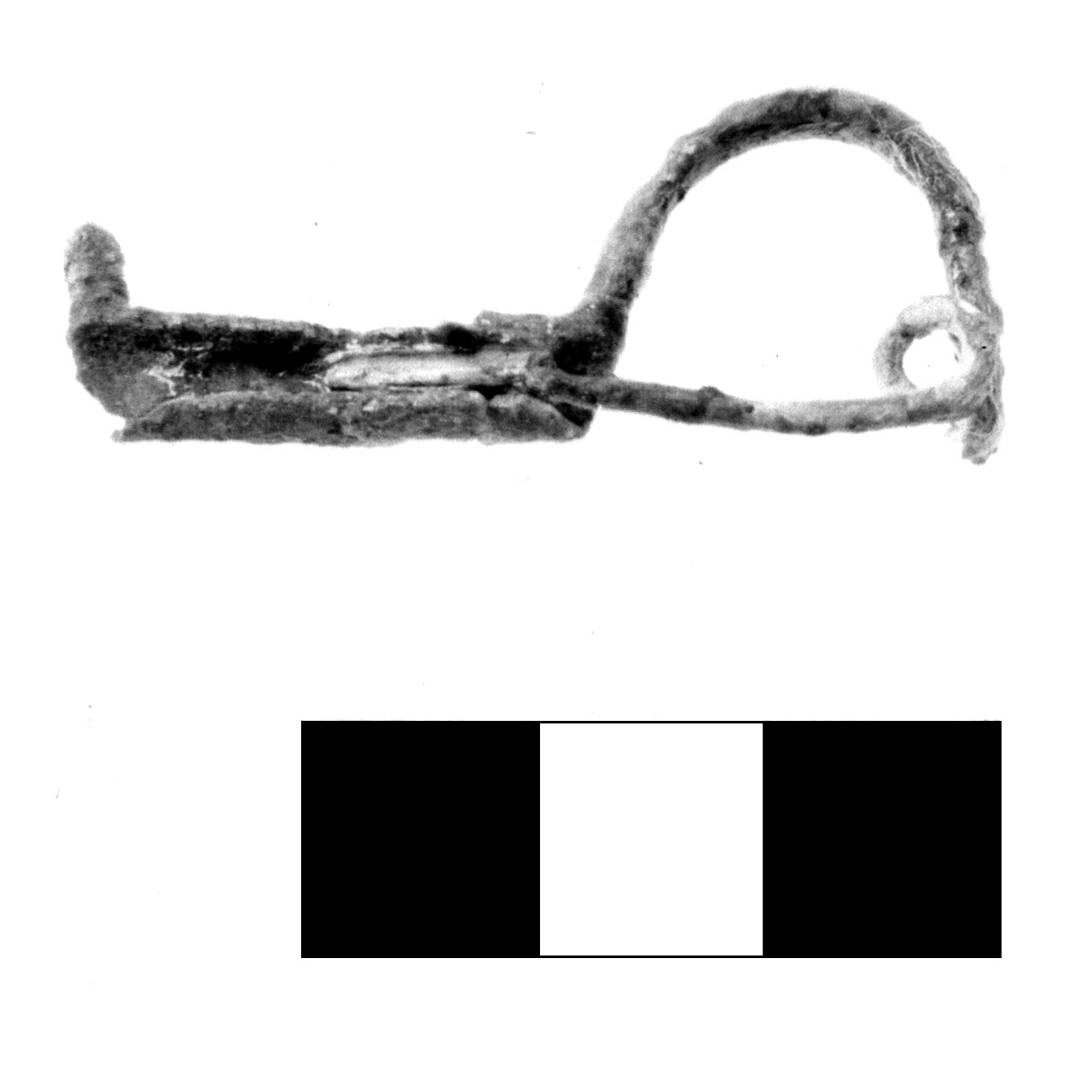 fibula pre-certosa - fase Piceno IV A (sec. VI a.C)