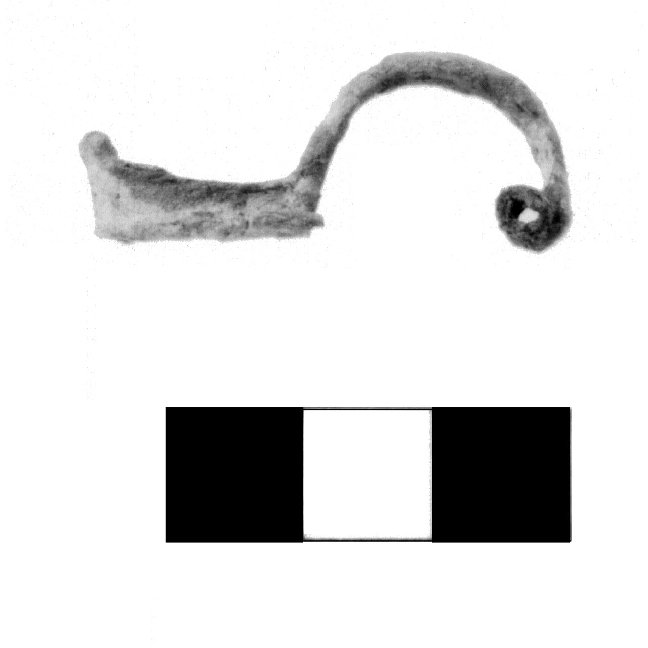 fibula pre-certosa - fase Piceno IV A (sec. VI a.C)