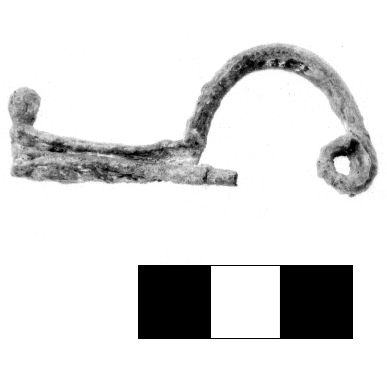fibula pre-certosa - fase Piceno IV A (sec. VI a.C)