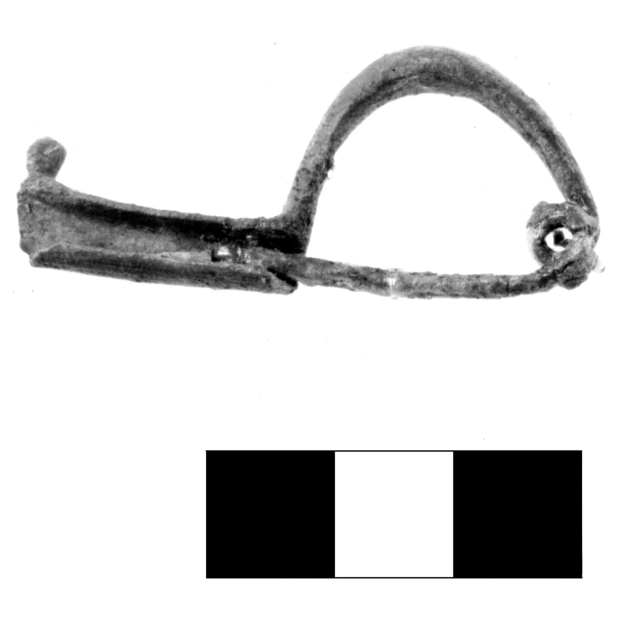 fibula pre-certosa - fase Piceno IV A (sec. VI a.C)