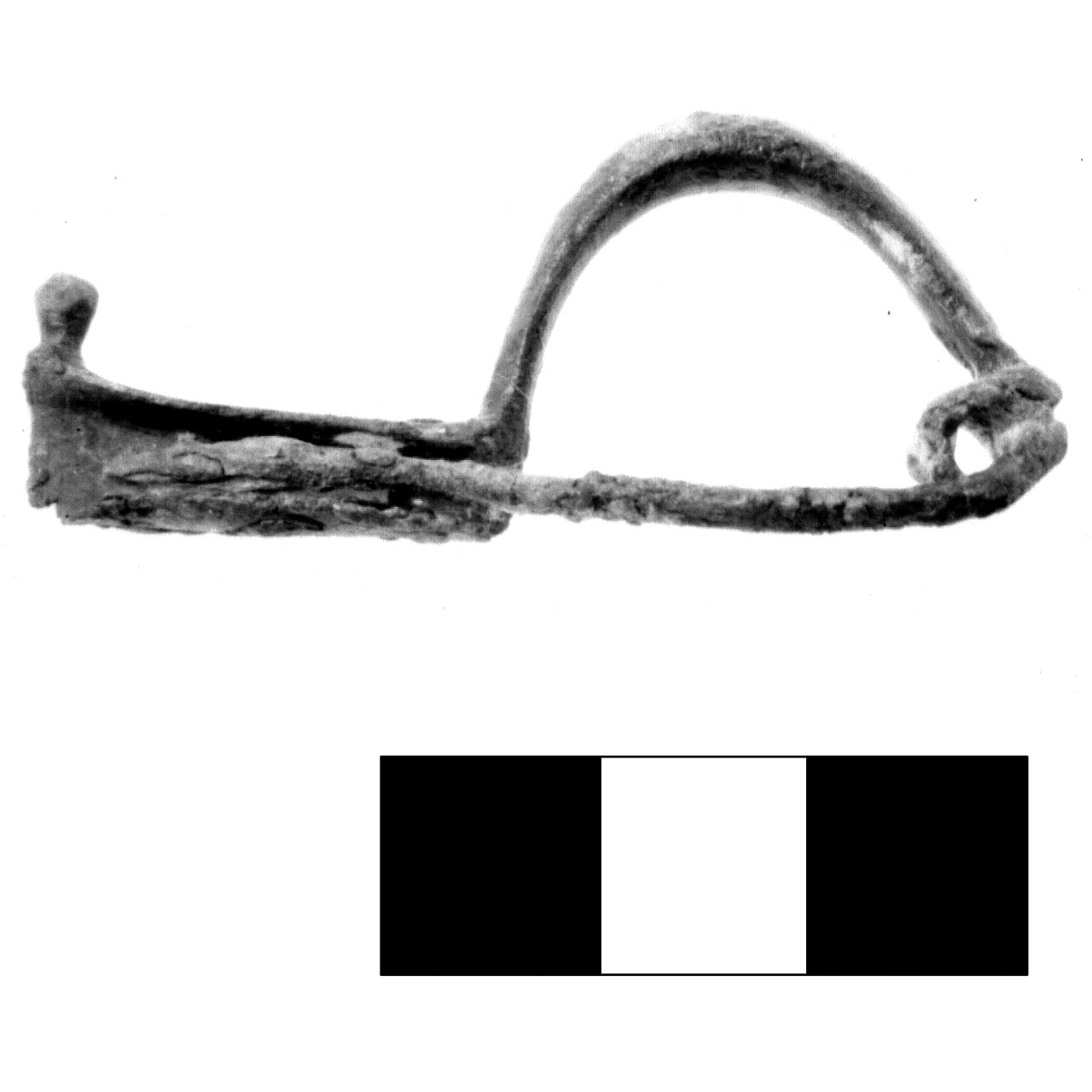 fibula pre-certosa - fase Piceno IV A (sec. VI a.C)