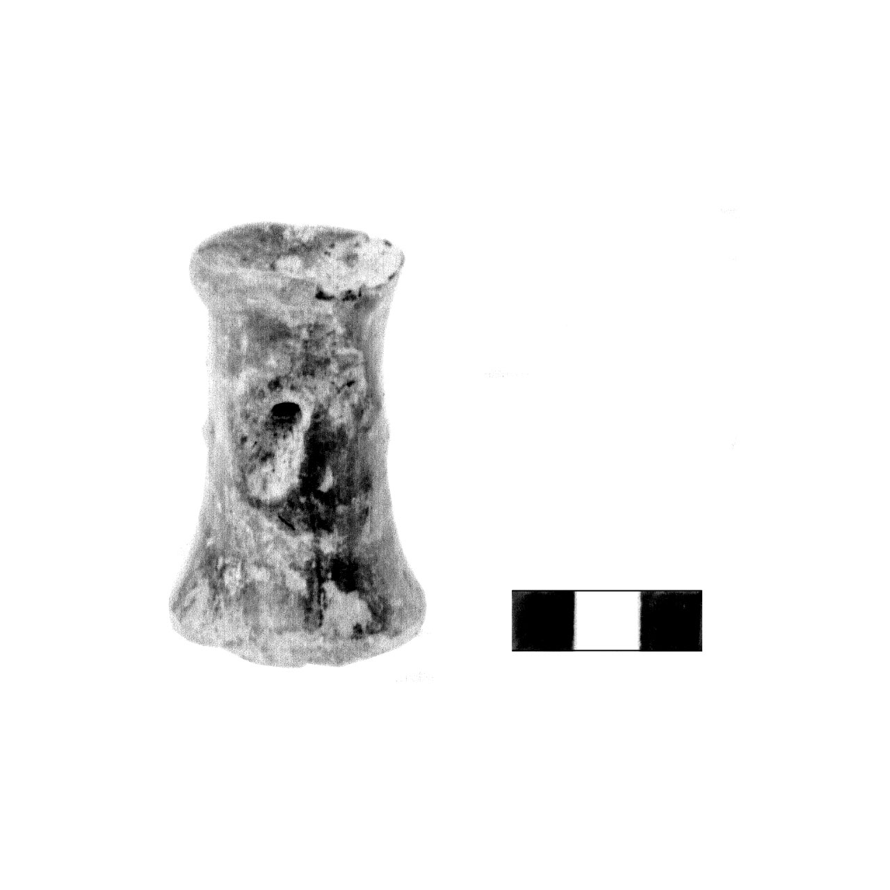 rocchetto - fase Piceno IV A (sec. VI a.C)