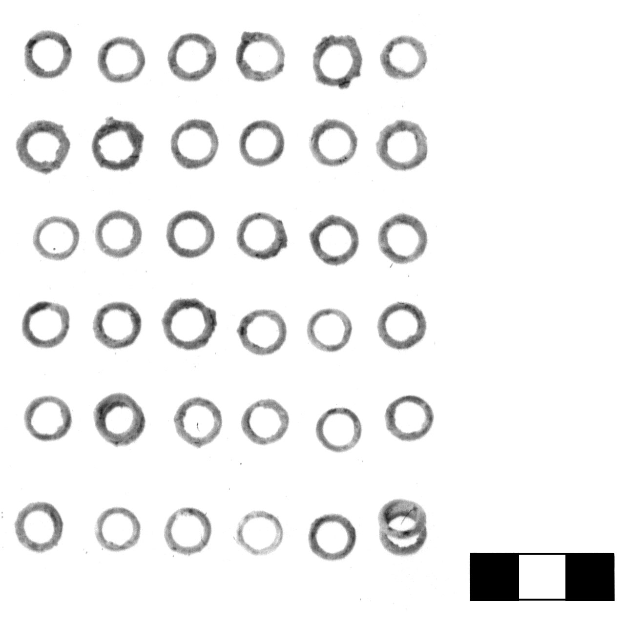 anellino - fase Piceno IV A (sec. VI a.C)