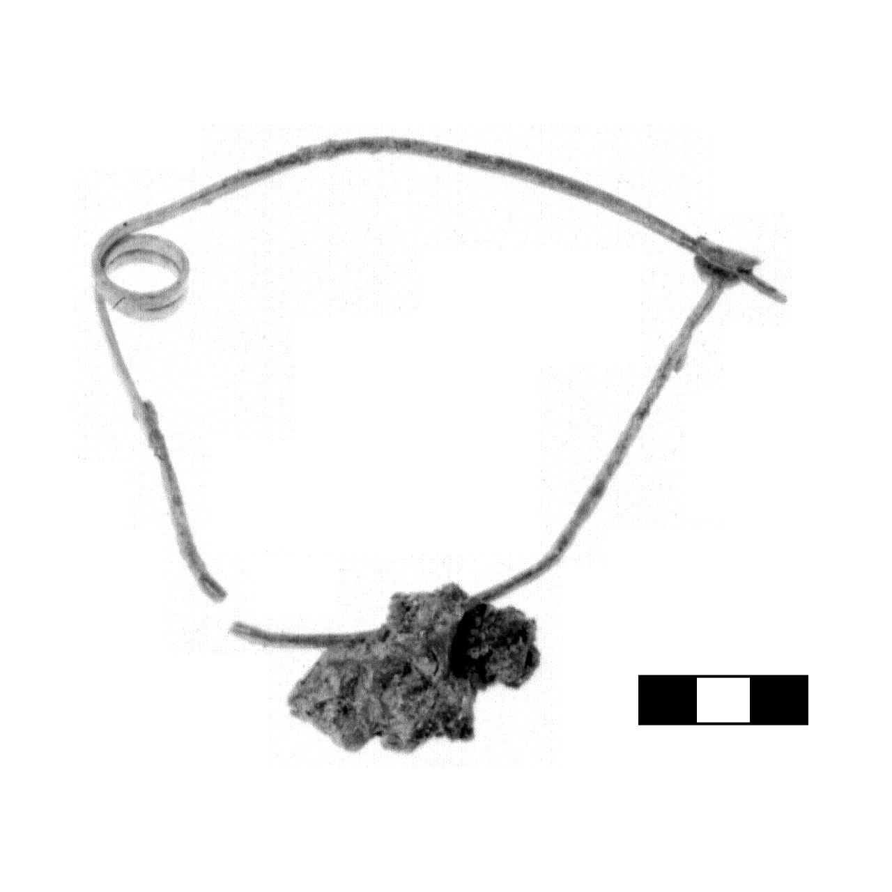 fibula ad arco rivestito - fase Piceno IV A (sec. VI a.C)